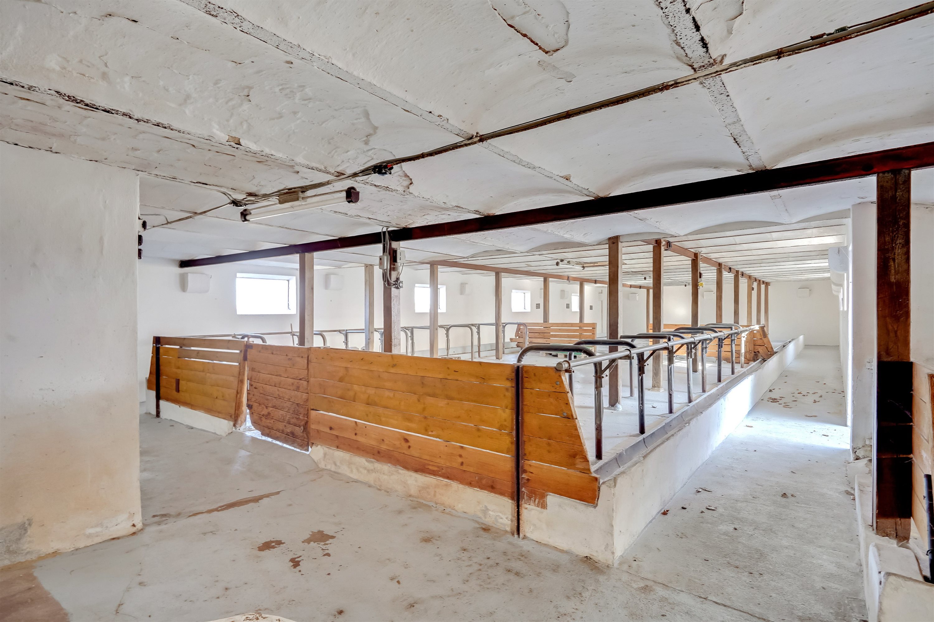 Fremhævet stald billede i fuldskærmstilstand. Billede af Sadderupvej 12, 6705 Esbjerg Ø