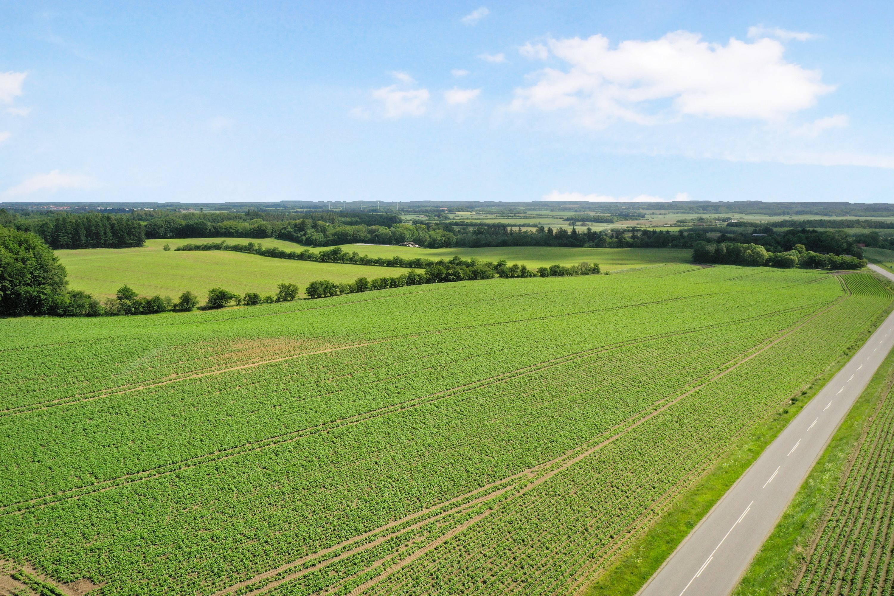 Fremhævet  billede i fuldskærmstilstand. Billede af Ugiltvej 399, 9870 Sindal