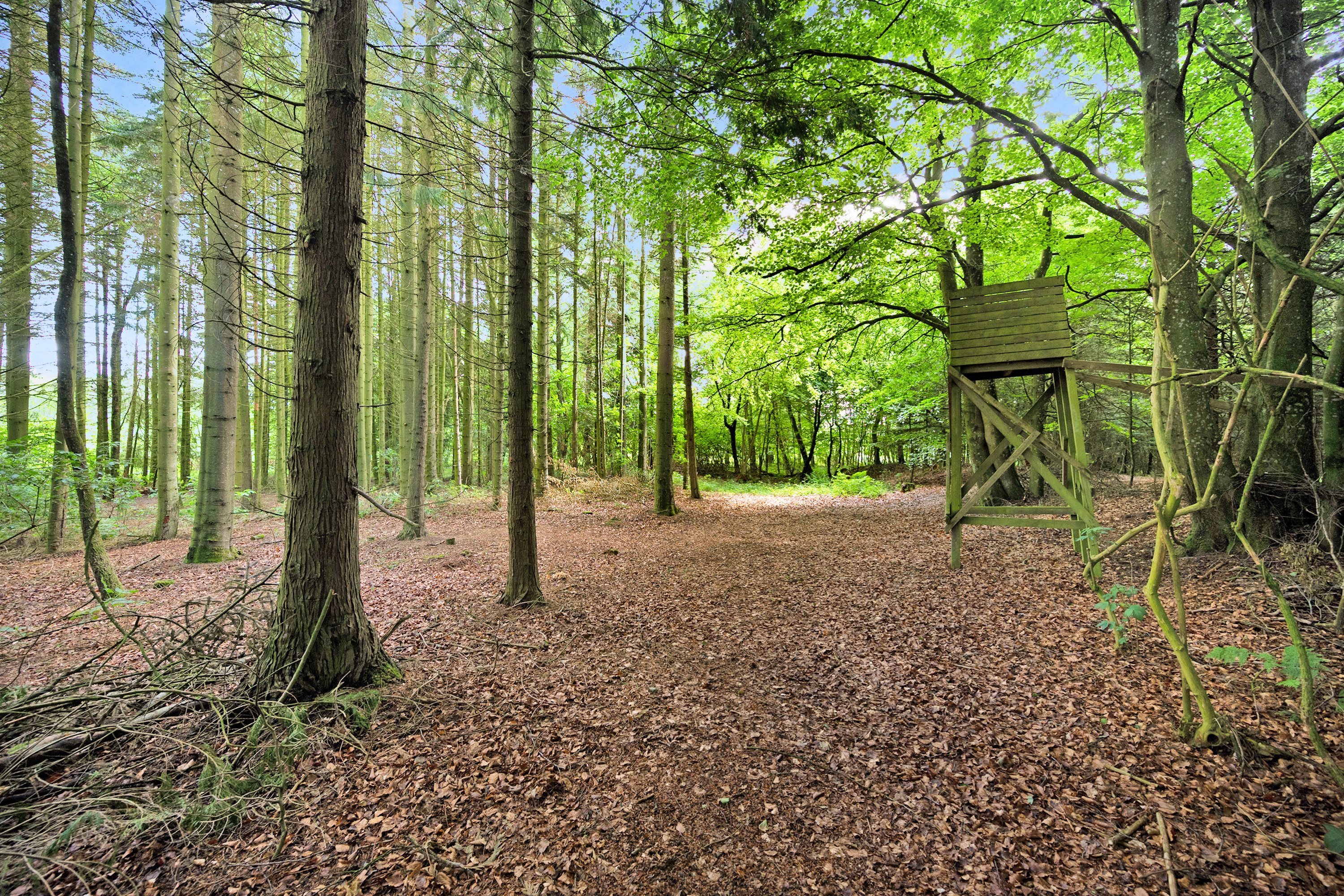 Fremhævet  billede i fuldskærmstilstand. Billede af Ugiltvej 399, 9870 Sindal