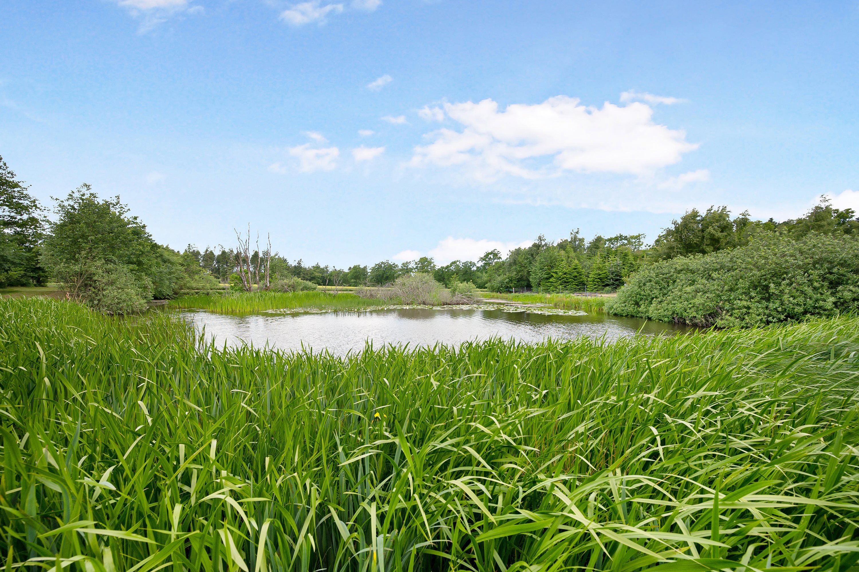 Fremhævet  billede i fuldskærmstilstand. Billede af Ugiltvej 399, 9870 Sindal