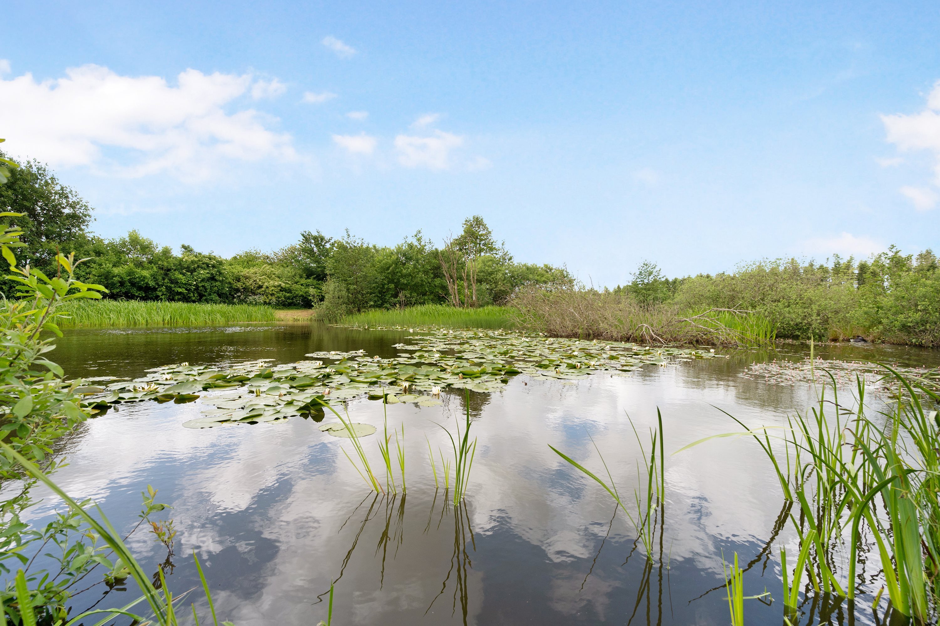 Fremhævet  billede i fuldskærmstilstand. Billede af Ugiltvej 399, 9870 Sindal