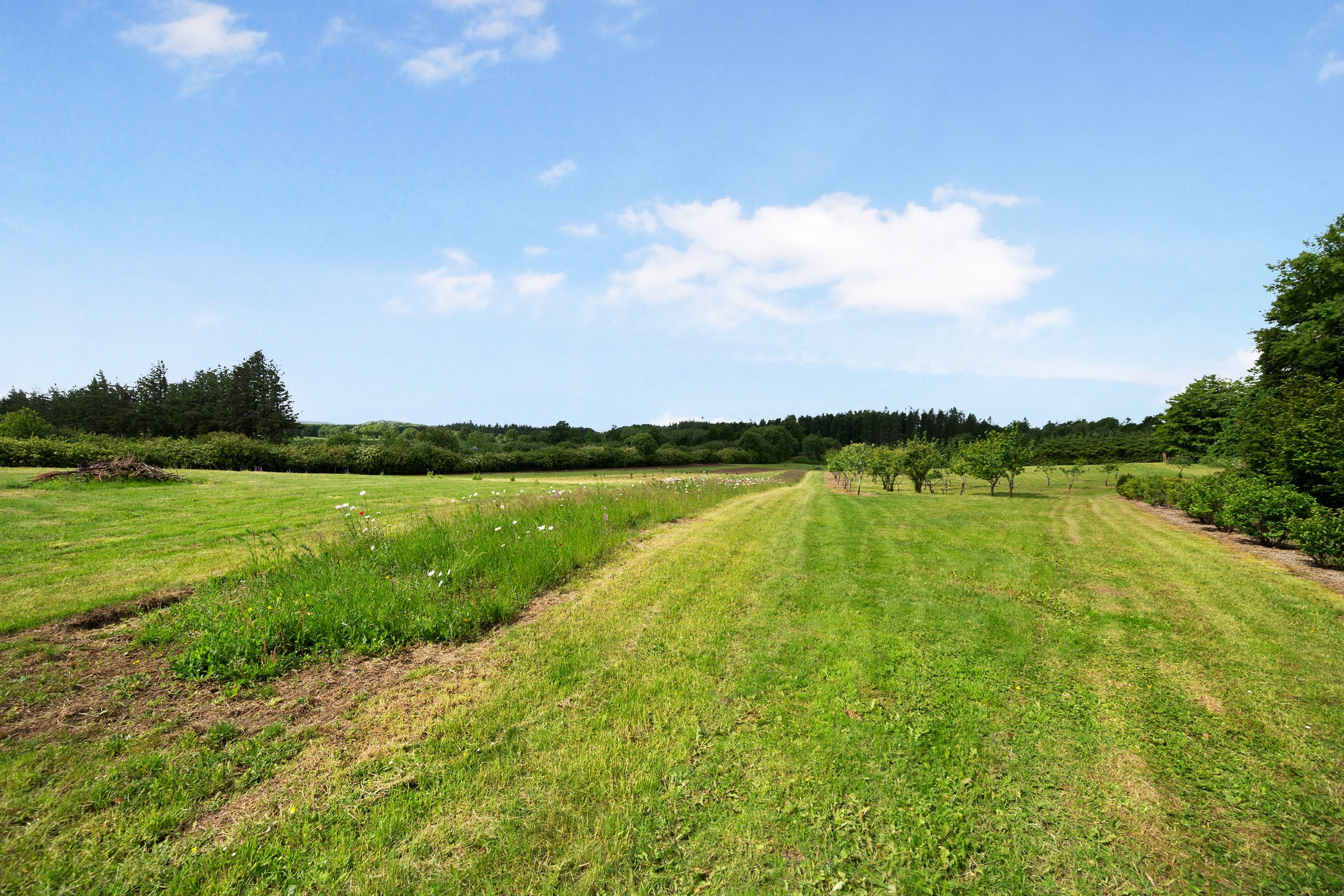 Fremhævet  billede i fuldskærmstilstand. Billede af Ugiltvej 399, 9870 Sindal