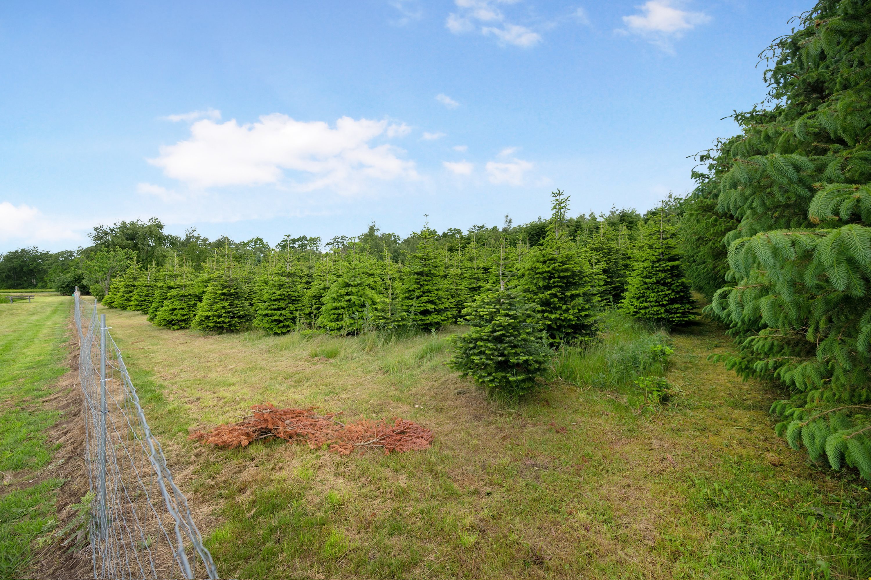 Fremhævet  billede i fuldskærmstilstand. Billede af Ugiltvej 399, 9870 Sindal