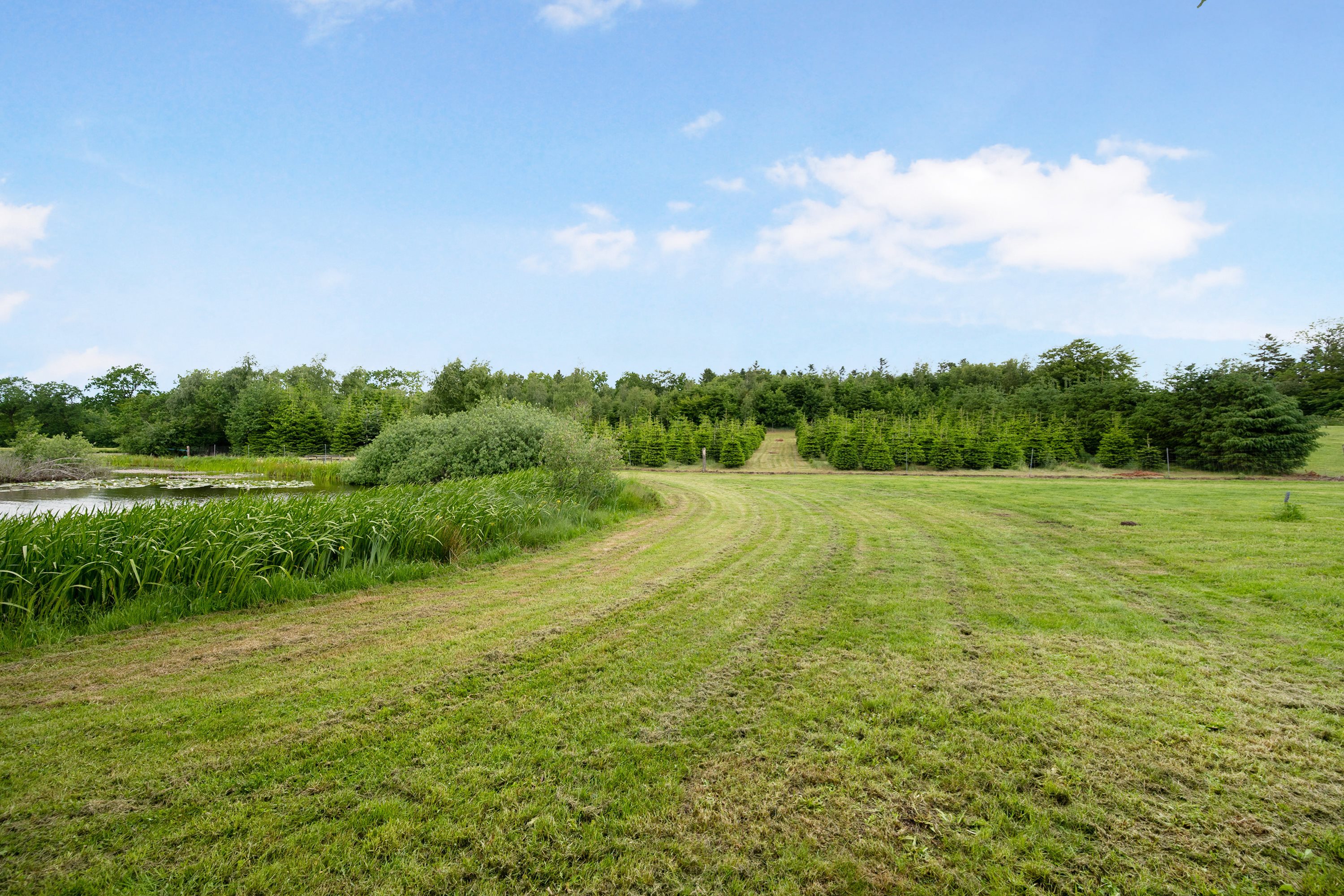 Fremhævet  billede i fuldskærmstilstand. Billede af Ugiltvej 399, 9870 Sindal