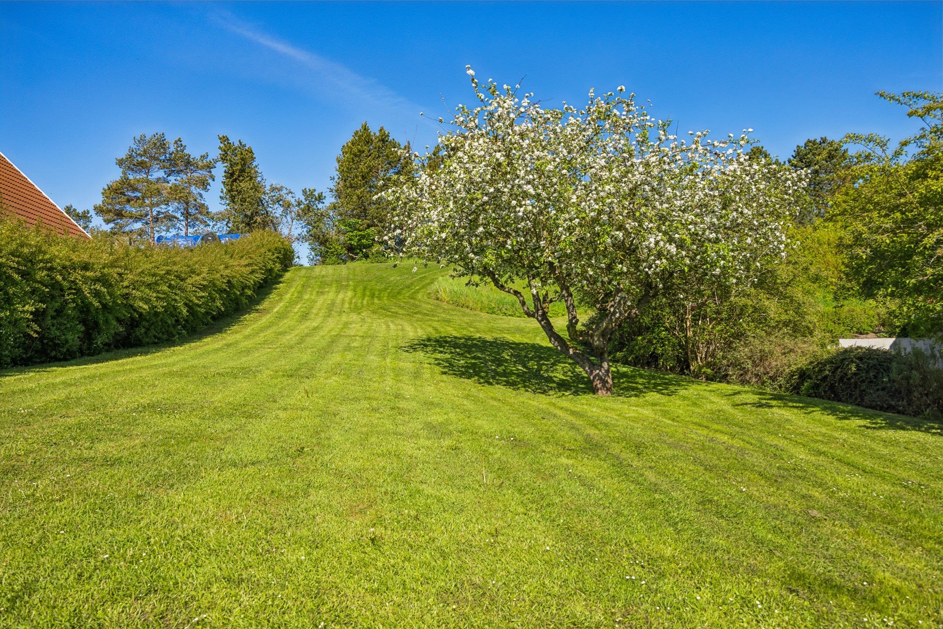 Miniaturebillede 1: . Billede af Krokusvænget 6, Ejby, 4623 Lille Skensved