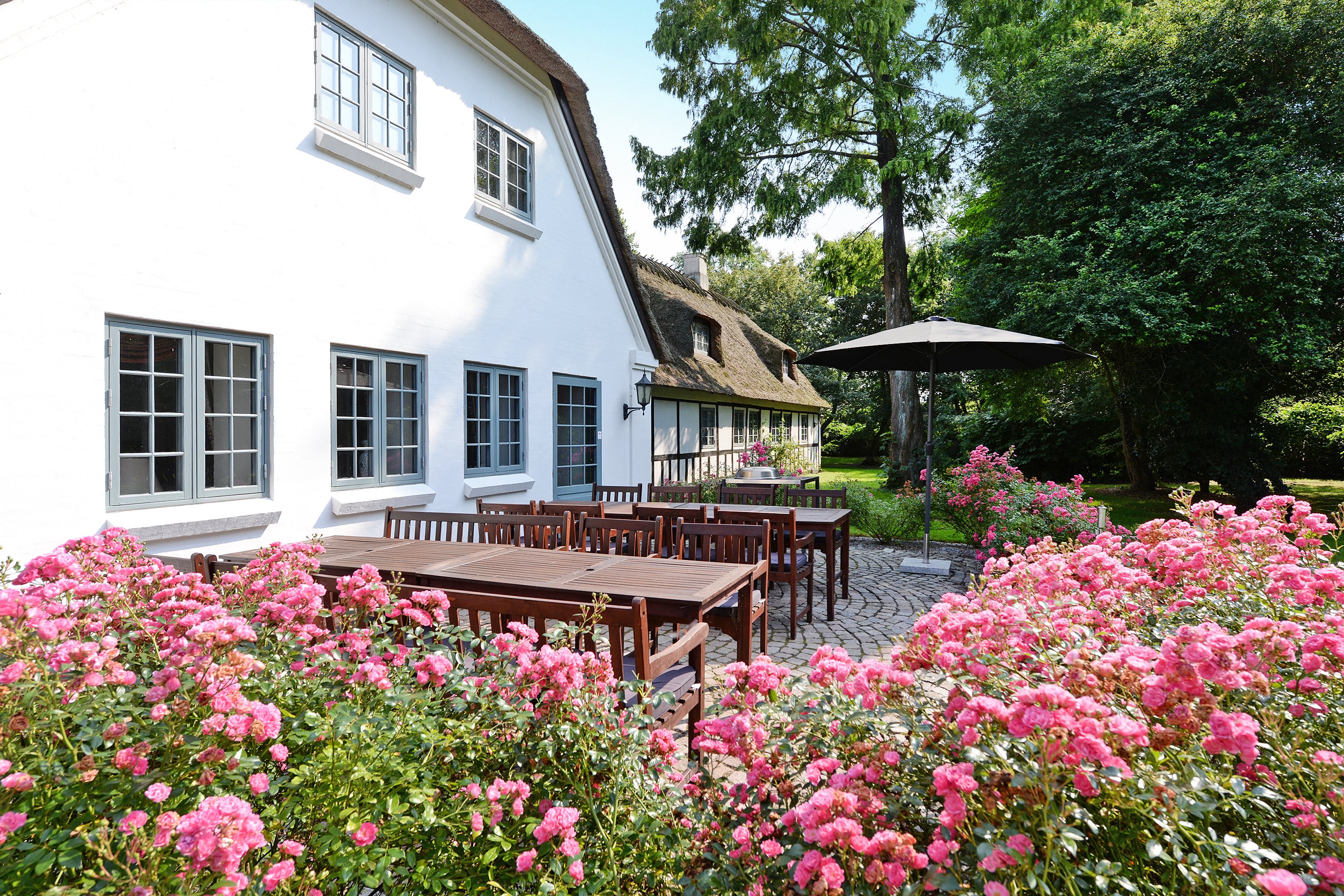 Fremhævet terrasse billede i fuldskærmstilstand. Billede af Ronæsvej 8, Ronæs, 5580 Nørre Aaby