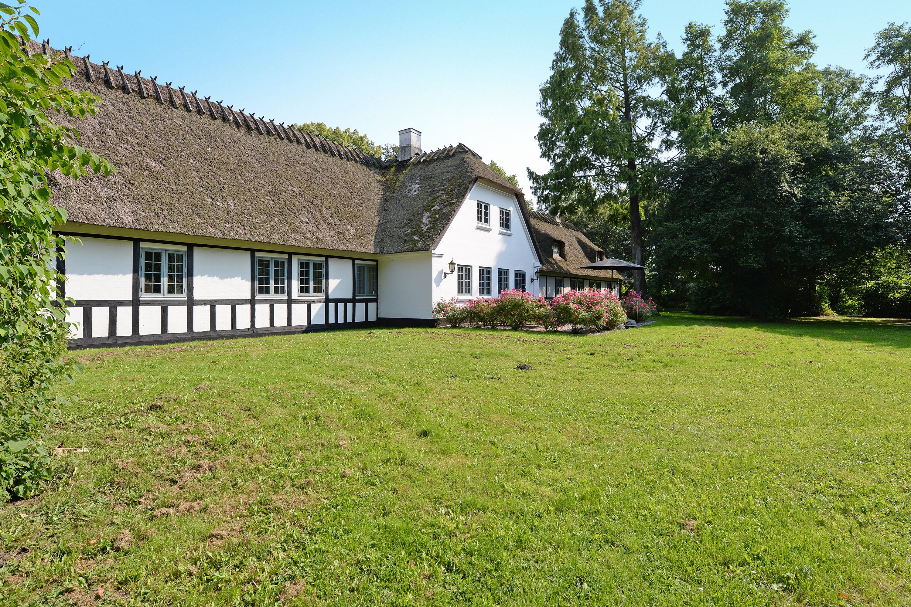 Fremhævet have billede i fuldskærmstilstand. Billede af Ronæsvej 8, Ronæs, 5580 Nørre Aaby