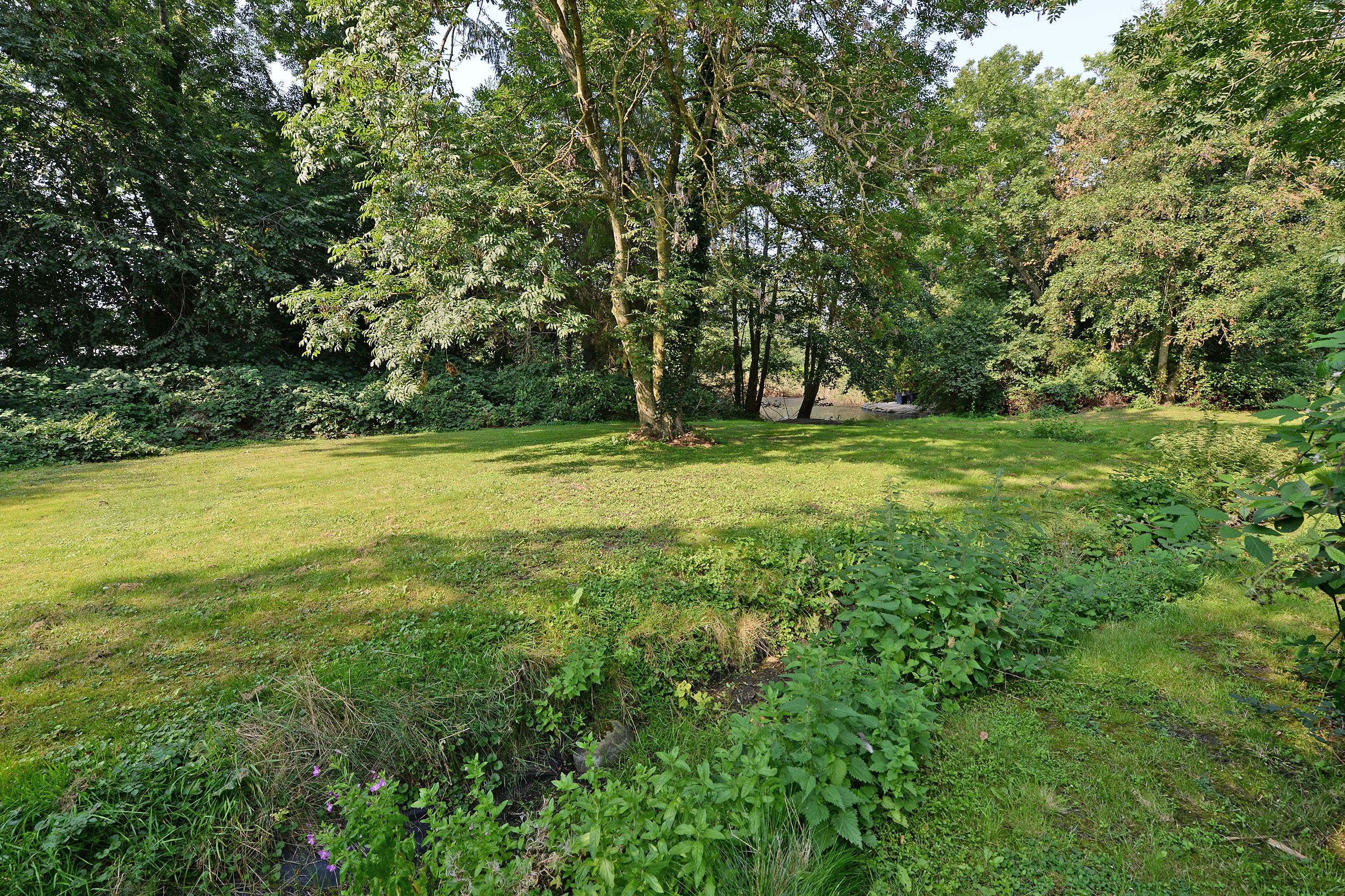 Fremhævet have billede i fuldskærmstilstand. Billede af Ronæsvej 8, Ronæs, 5580 Nørre Aaby