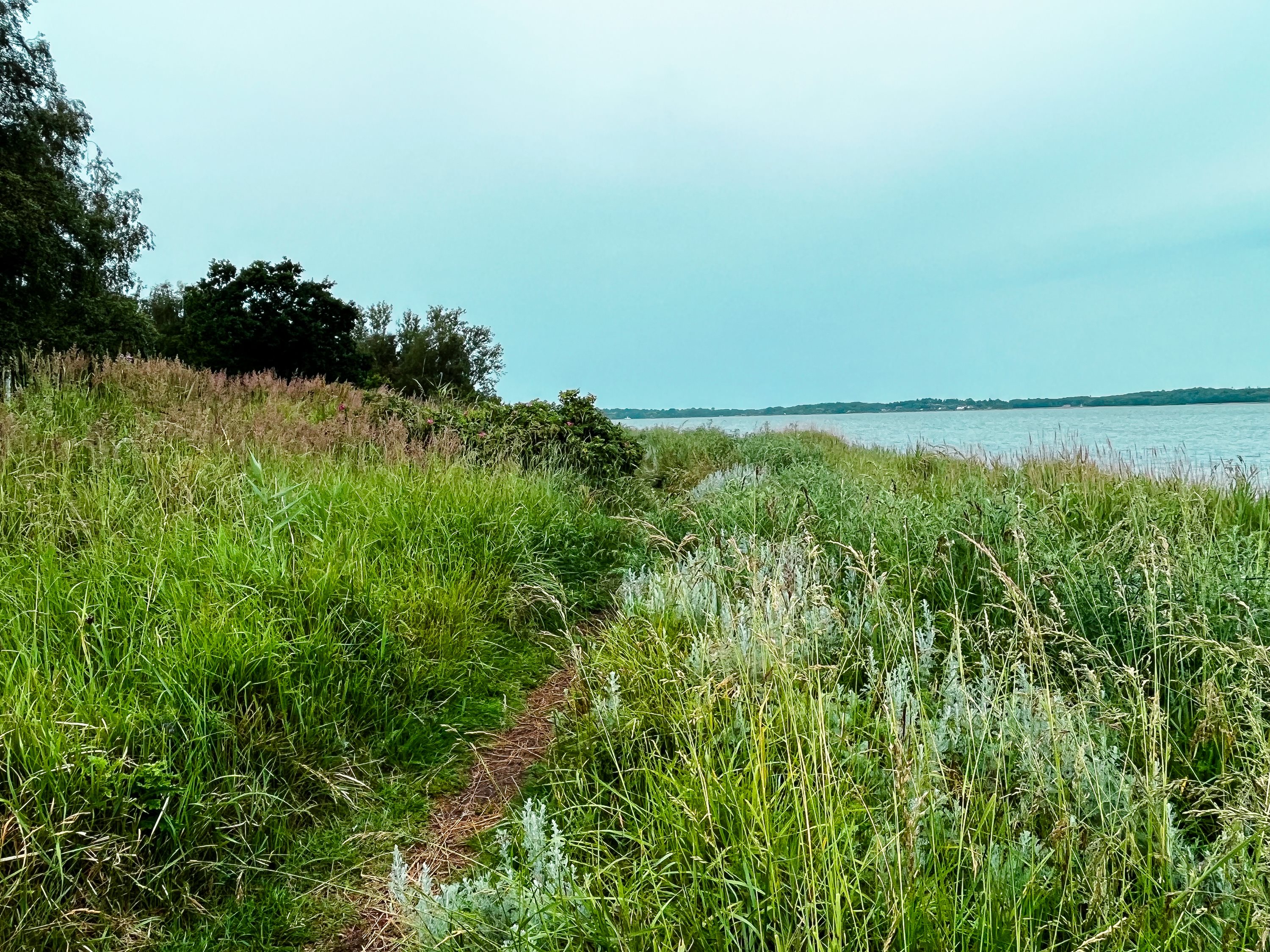 Fremhævet område billede i fuldskærmstilstand. Billede af Bag Hegnet 11, Kulhuse, 3630 Jægerspris