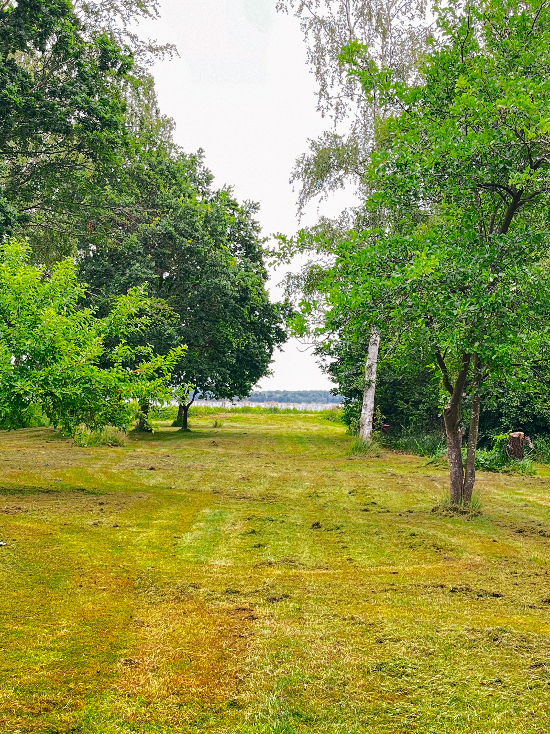 Fremhævet udsigt billede i fuldskærmstilstand. Billede af Bag Hegnet 11, Kulhuse, 3630 Jægerspris
