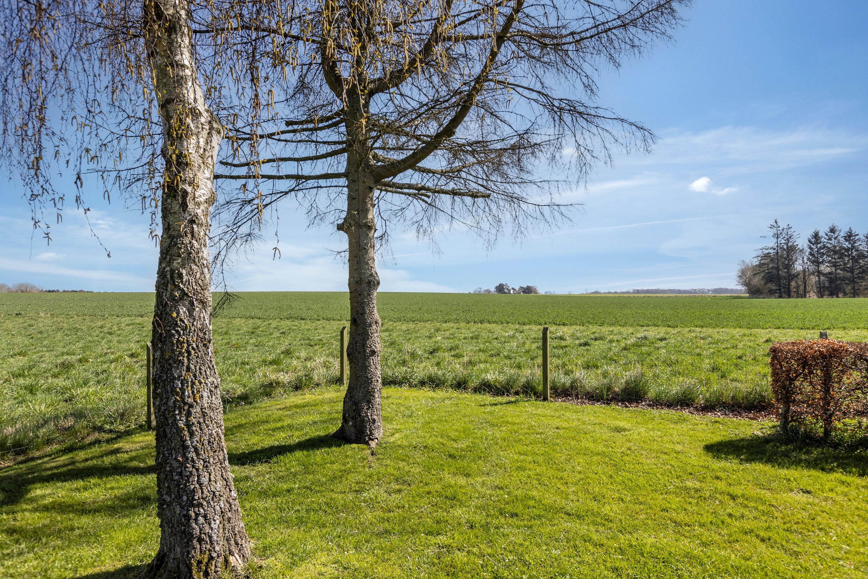 Fremhævet udsigt billede i fuldskærmstilstand. Billede af Skovmarksvej 29, Vetterslev, 4100 Ringsted