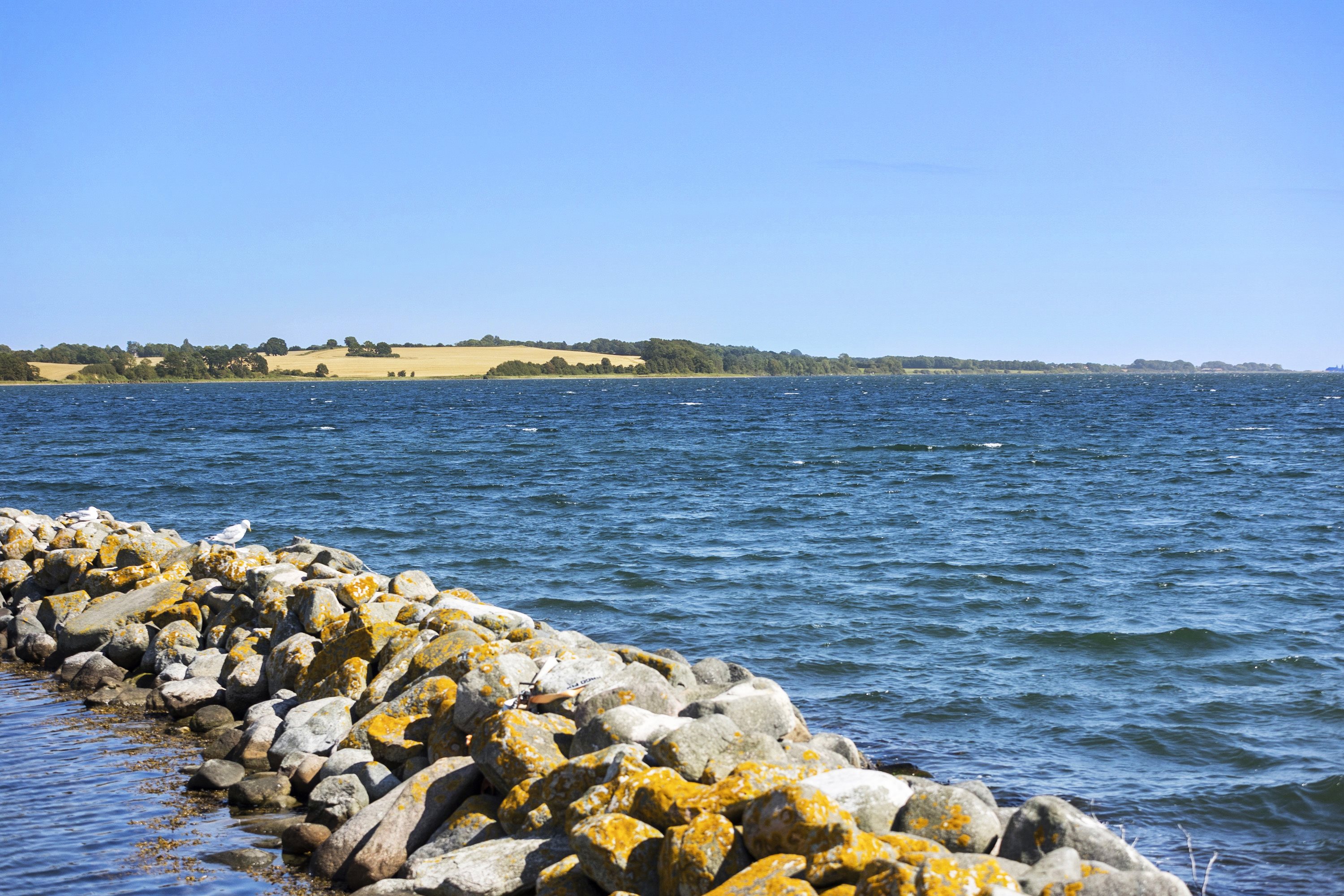 Fremhævet  billede i fuldskærmstilstand. Billede af Søndre Landevej 209, Høruphav, 6470 Sydals