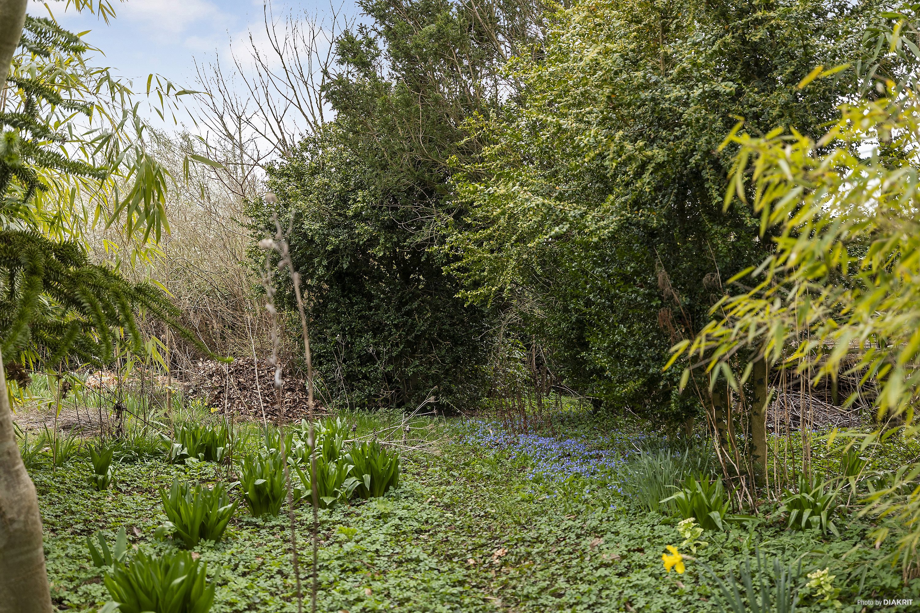 Fremhævet ejendommen billede i fuldskærmstilstand. Billede af Byvej 21, 4682 Tureby