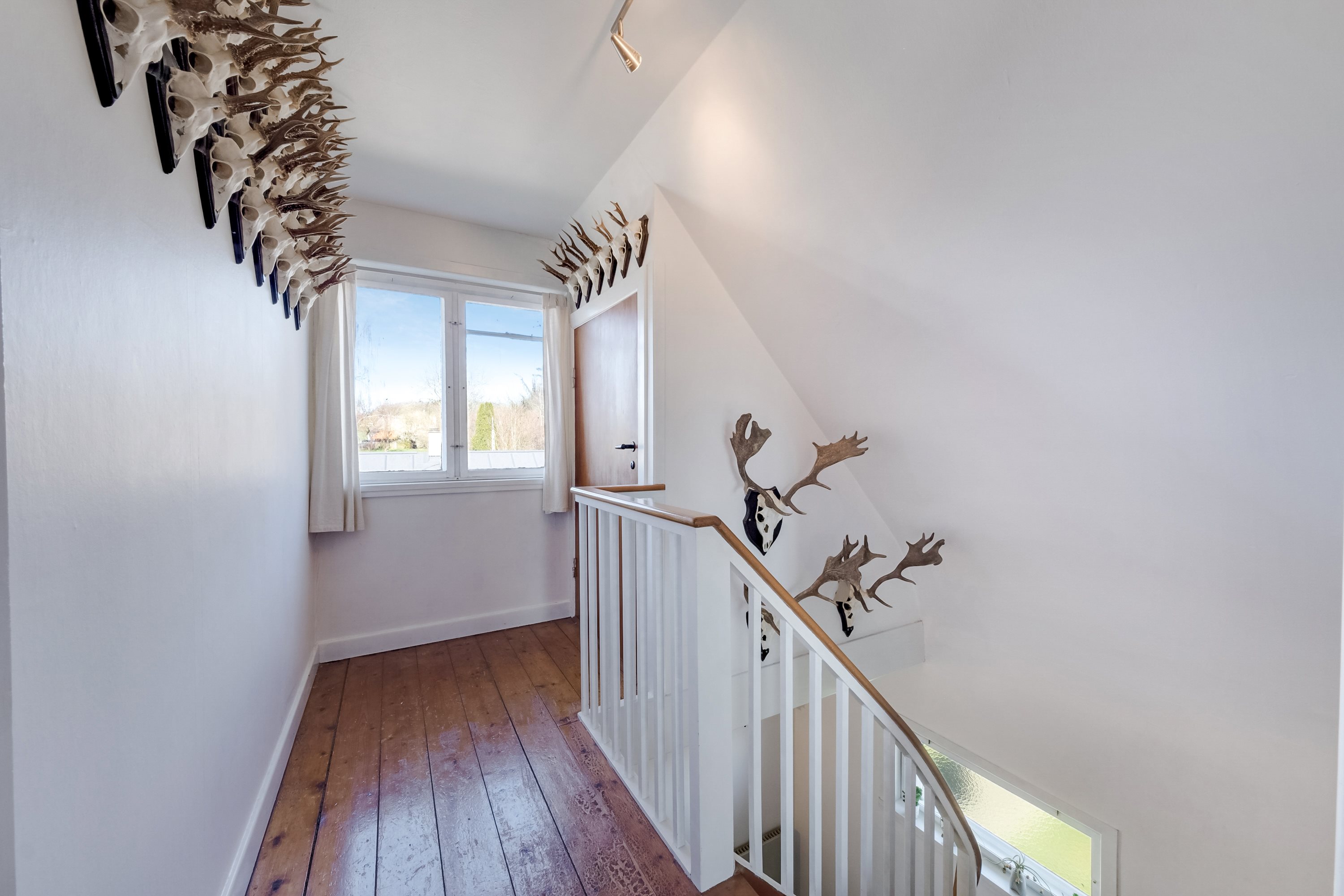 Fremhævet repos billede i fuldskærmstilstand. Billede af Akkerupvej 70, 5683 Haarby