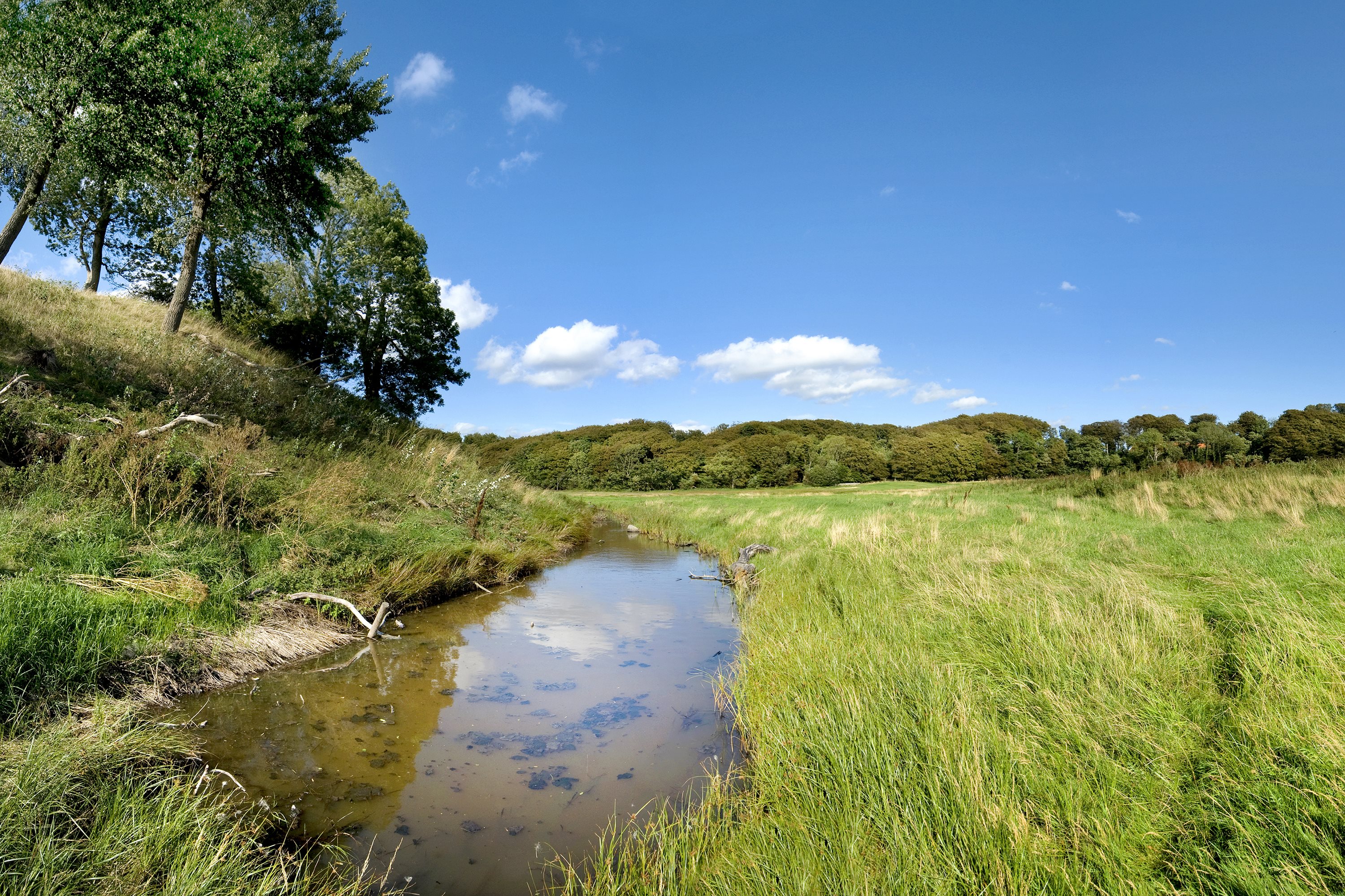 Fremhævet  billede i fuldskærmstilstand. Billede af Oddevejen 199, 5500 Middelfart