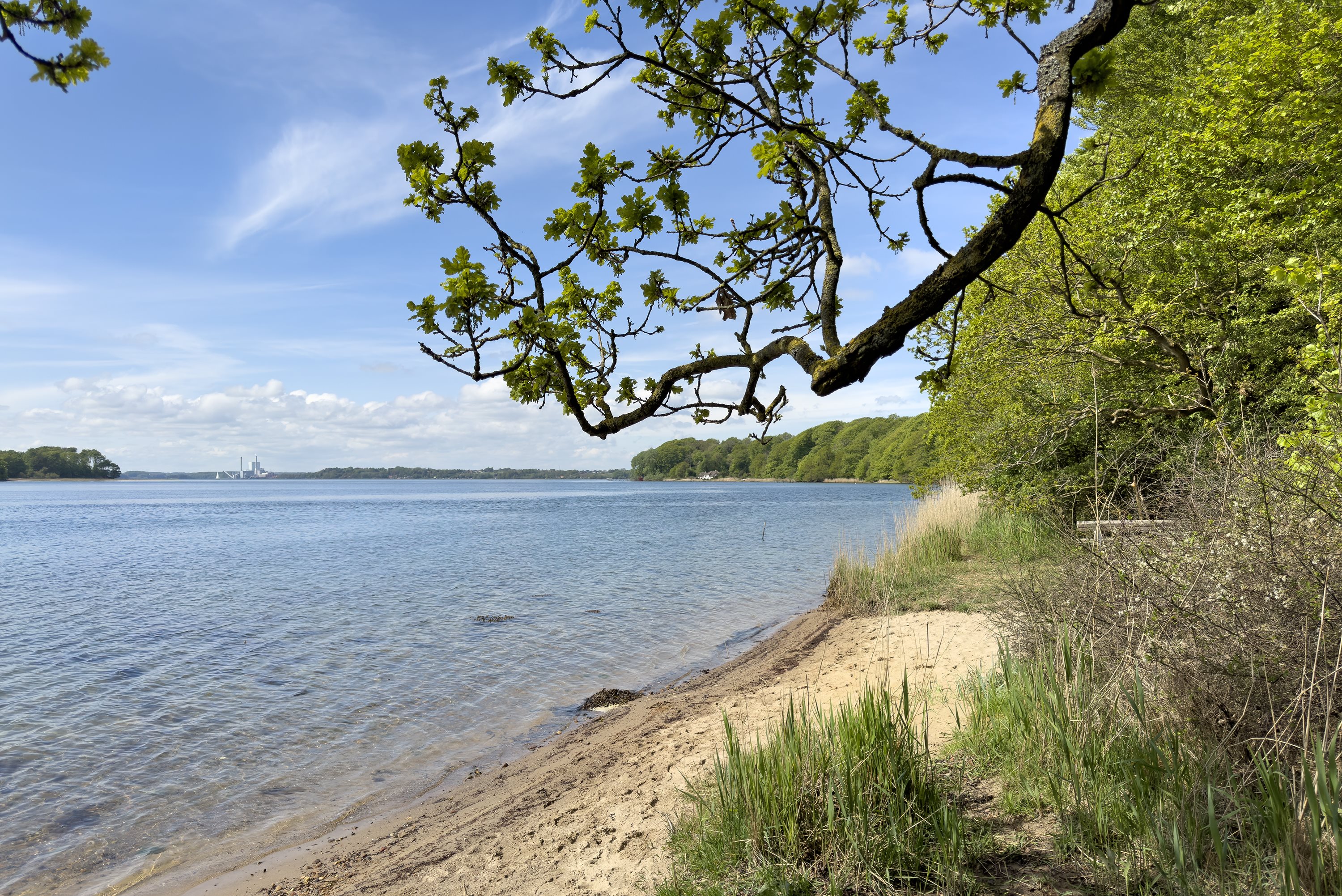 Fremhævet  billede i fuldskærmstilstand. Billede af Oddevejen 199, 5500 Middelfart
