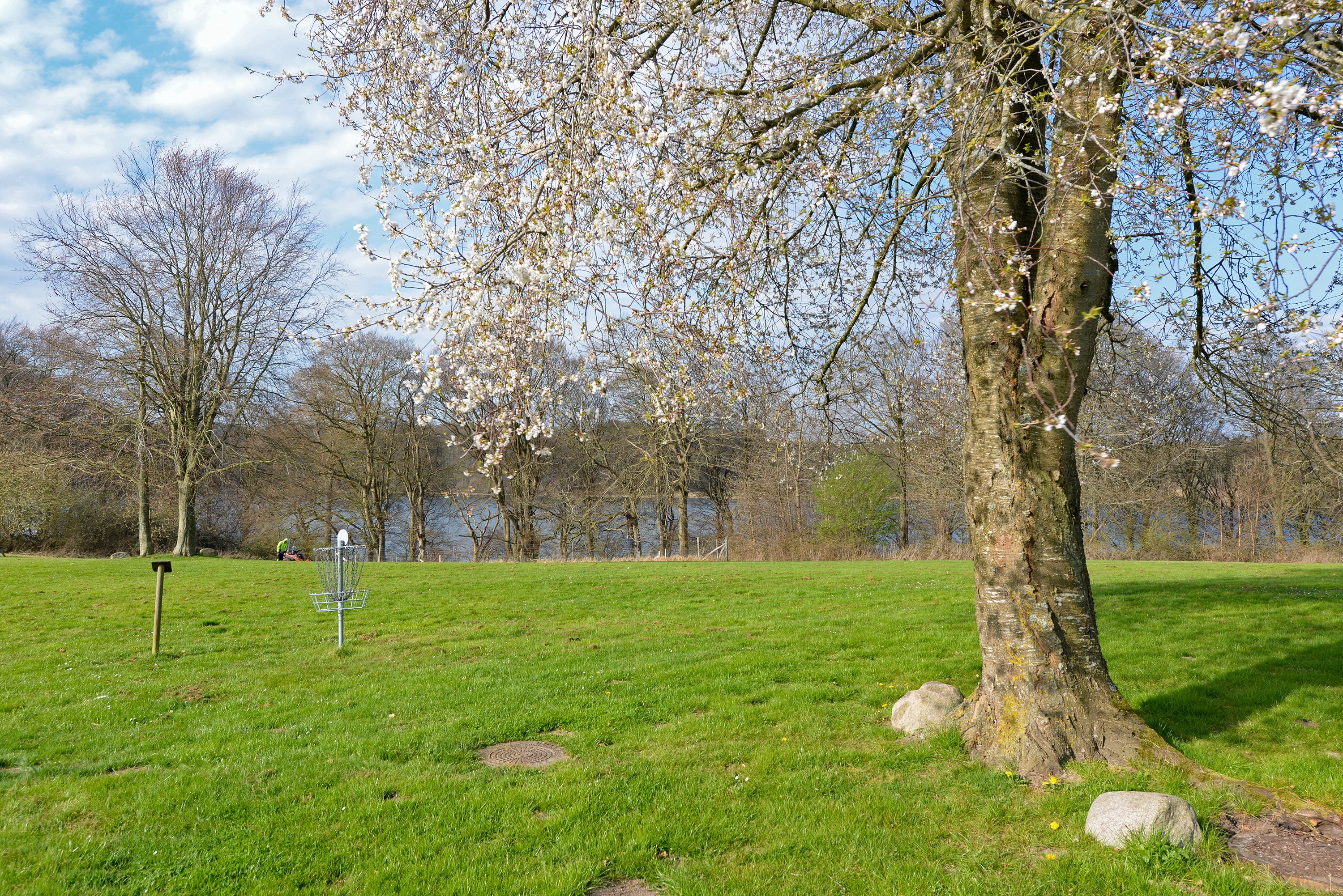 Fremhævet  billede i fuldskærmstilstand. Billede af Oddevejen 199, 5500 Middelfart