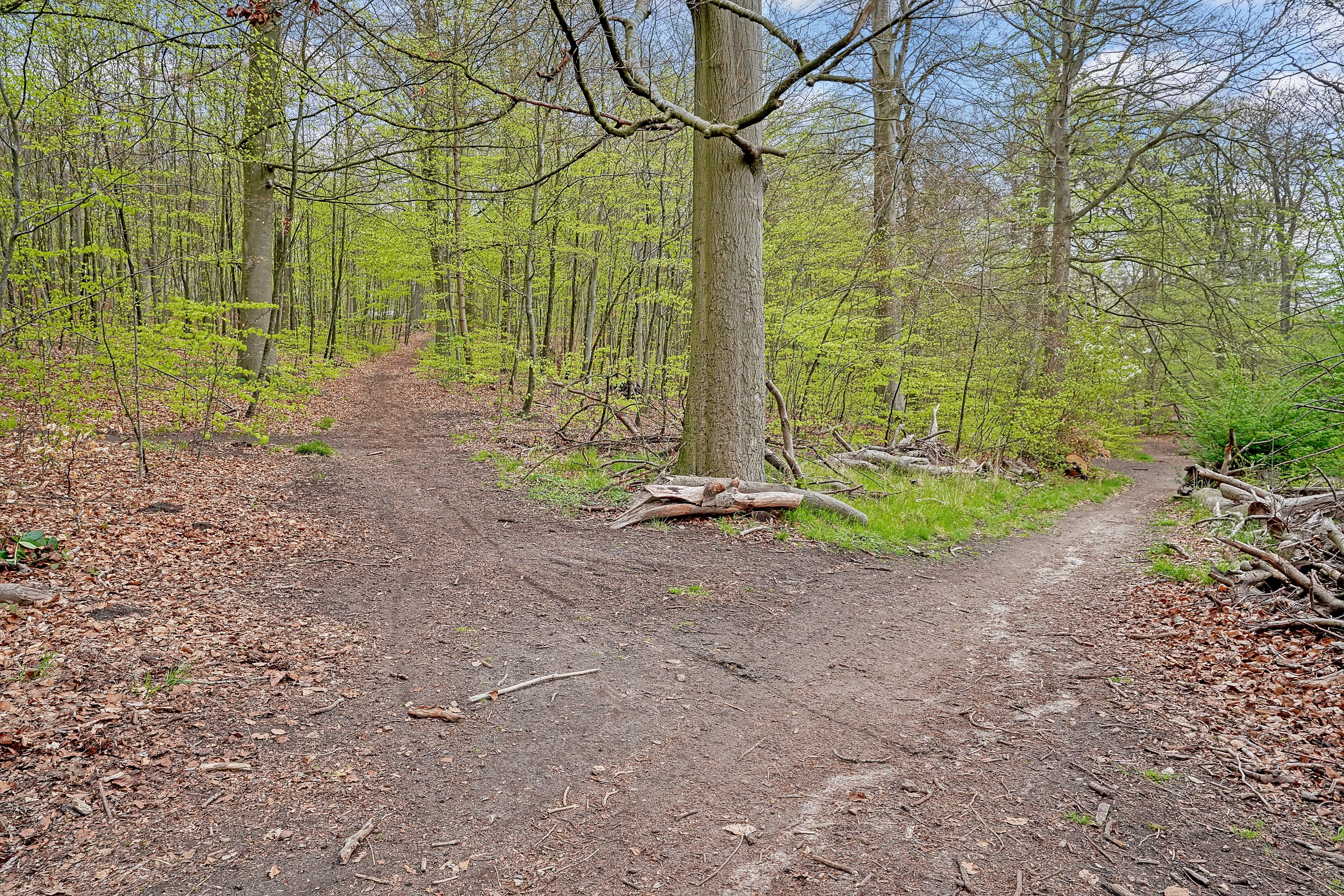Fremhævet område billede i fuldskærmstilstand. Billede af Gammel Hareskovvej 325, st.., Hareskov, 3500 Værløse