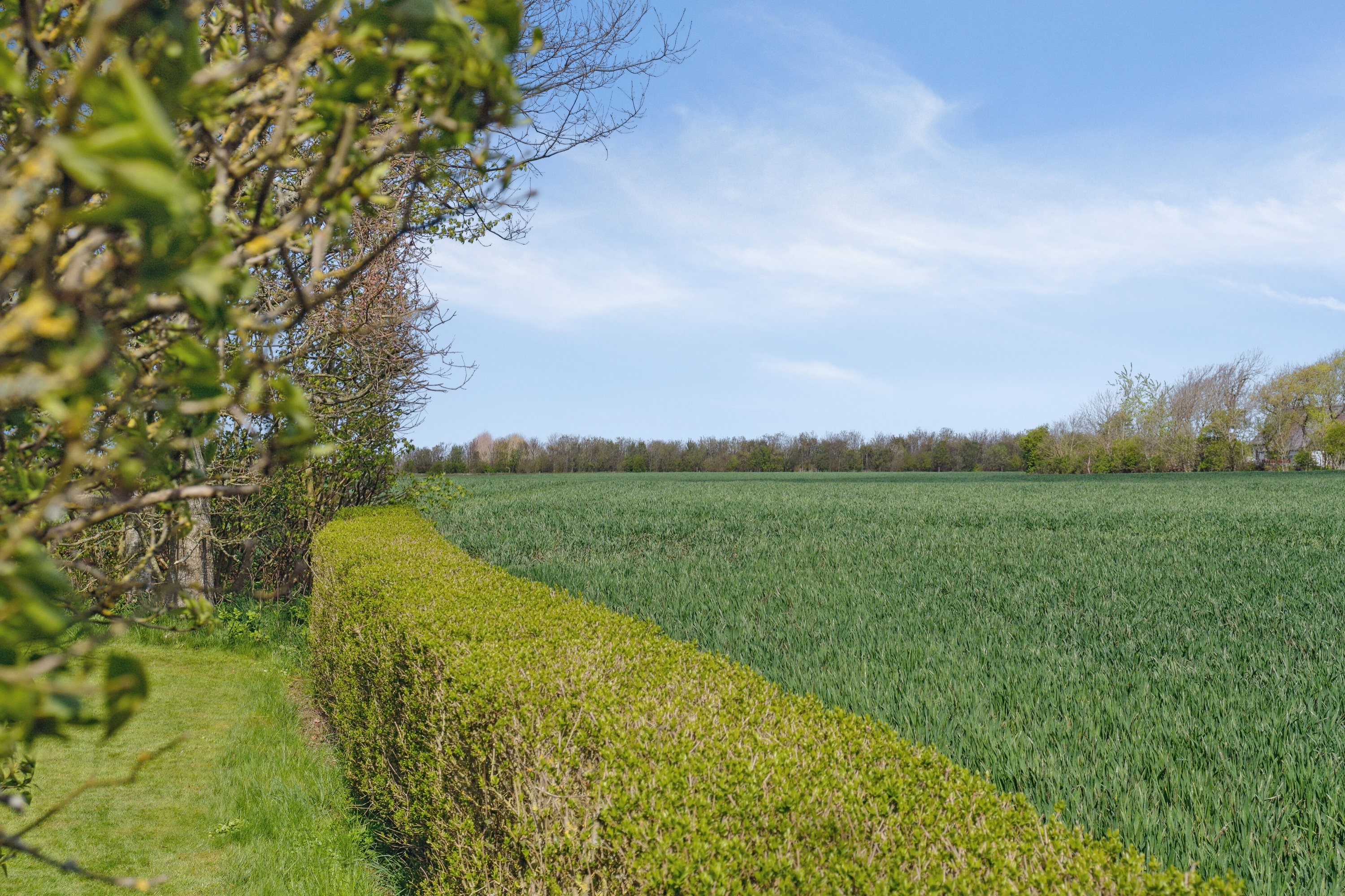 Fremhævet udendørs billede i fuldskærmstilstand. Billede af Næstrupvej 57, Sjørring, 7700 Thisted