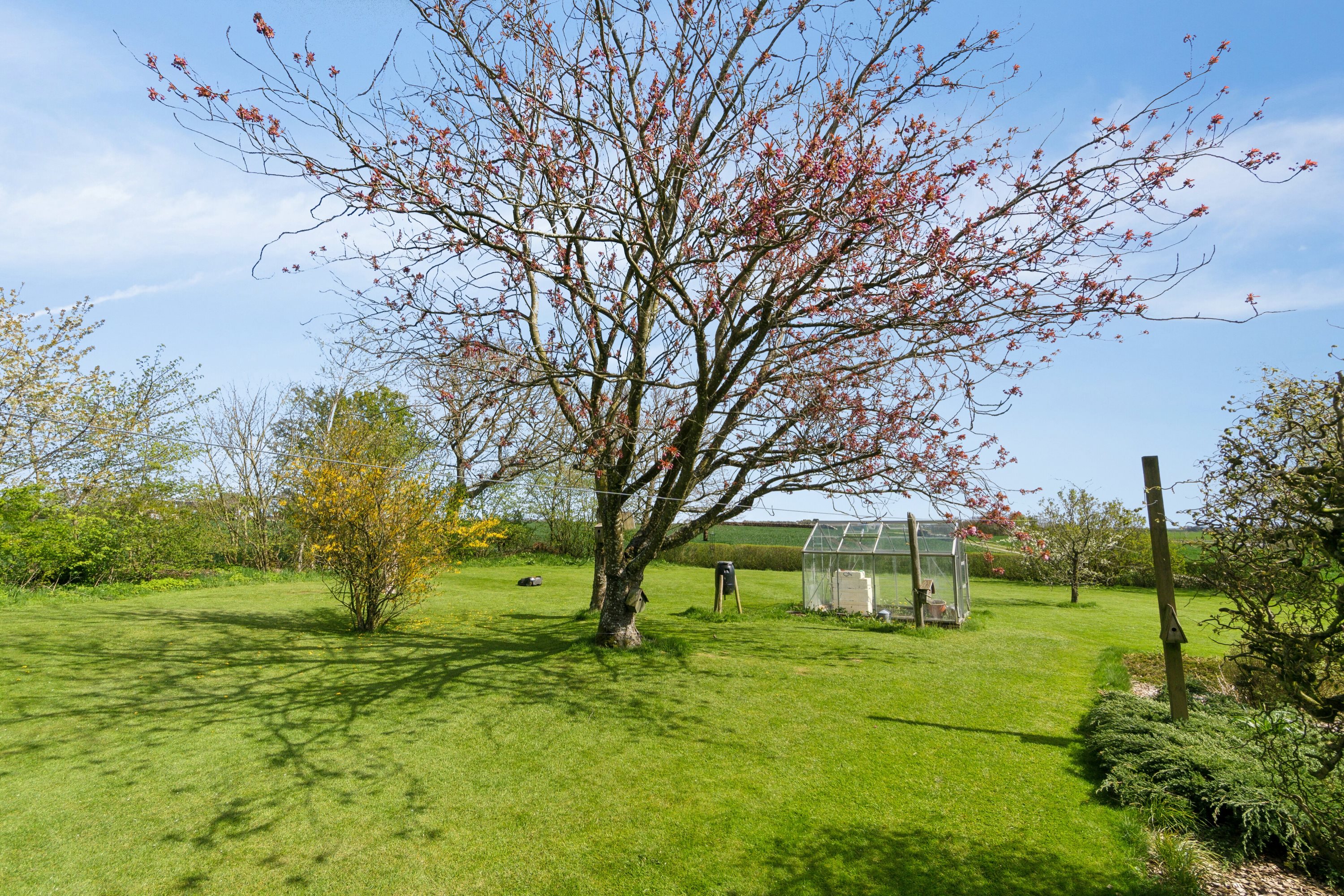 Miniaturebillede 2: have. Billede af Næstrupvej 57, Sjørring, 7700 Thisted