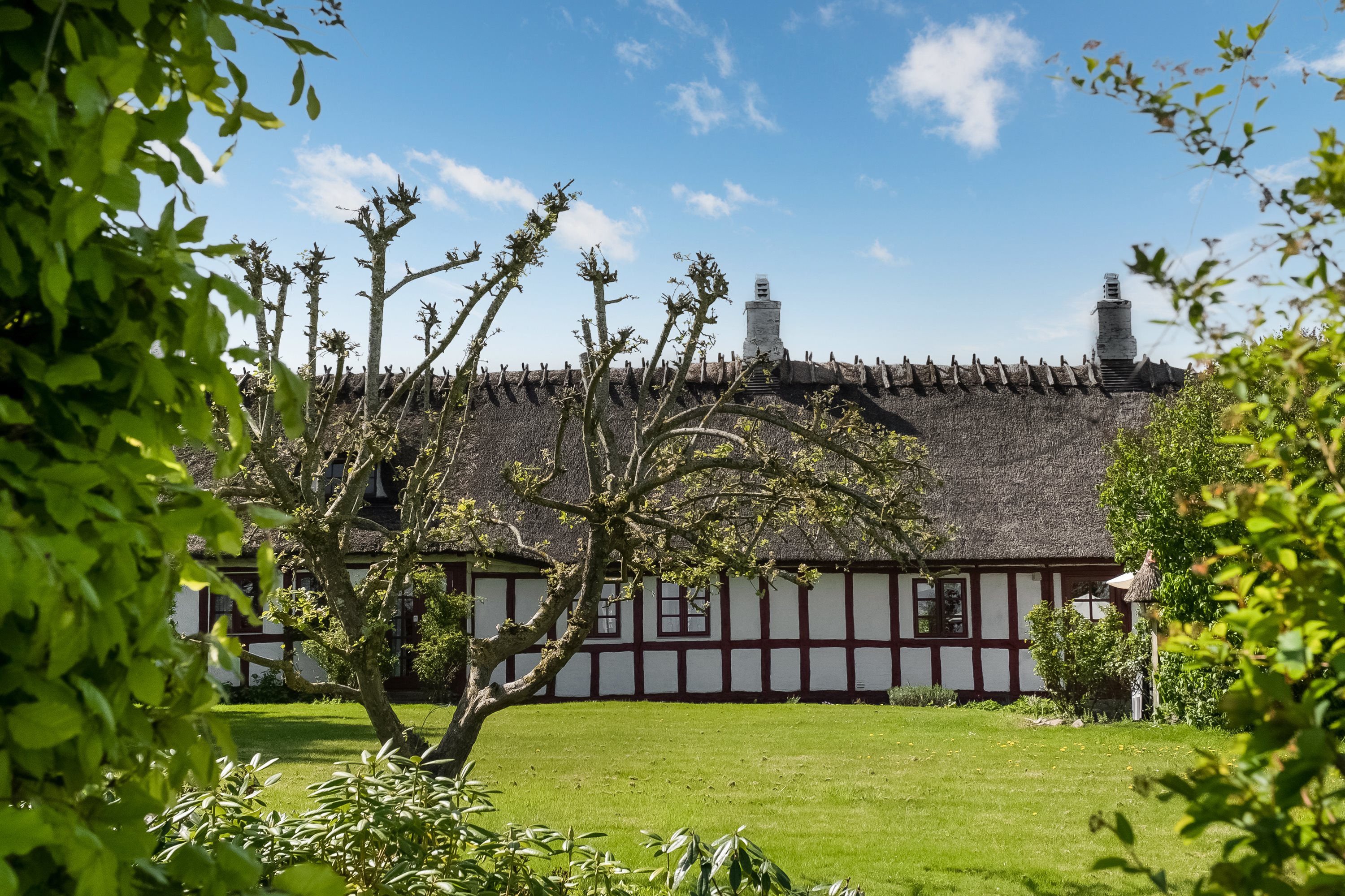 Fremhævet have billede i fuldskærmstilstand. Billede af Over Kærbyvej 98, Over Kærby, 5300 Kerteminde