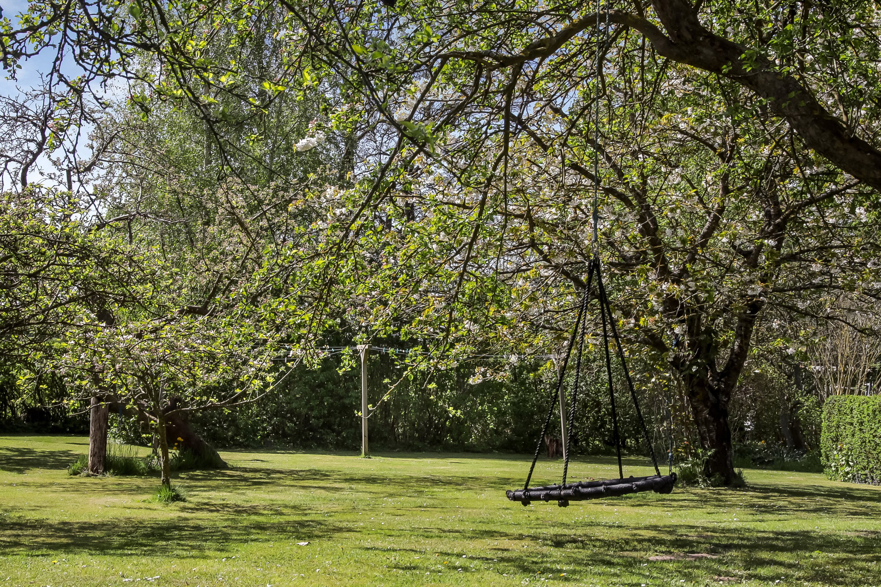 Fremhævet have billede i fuldskærmstilstand. Billede af Elvira Madigans Vej 14, Tåsinge, 5700 Svendborg