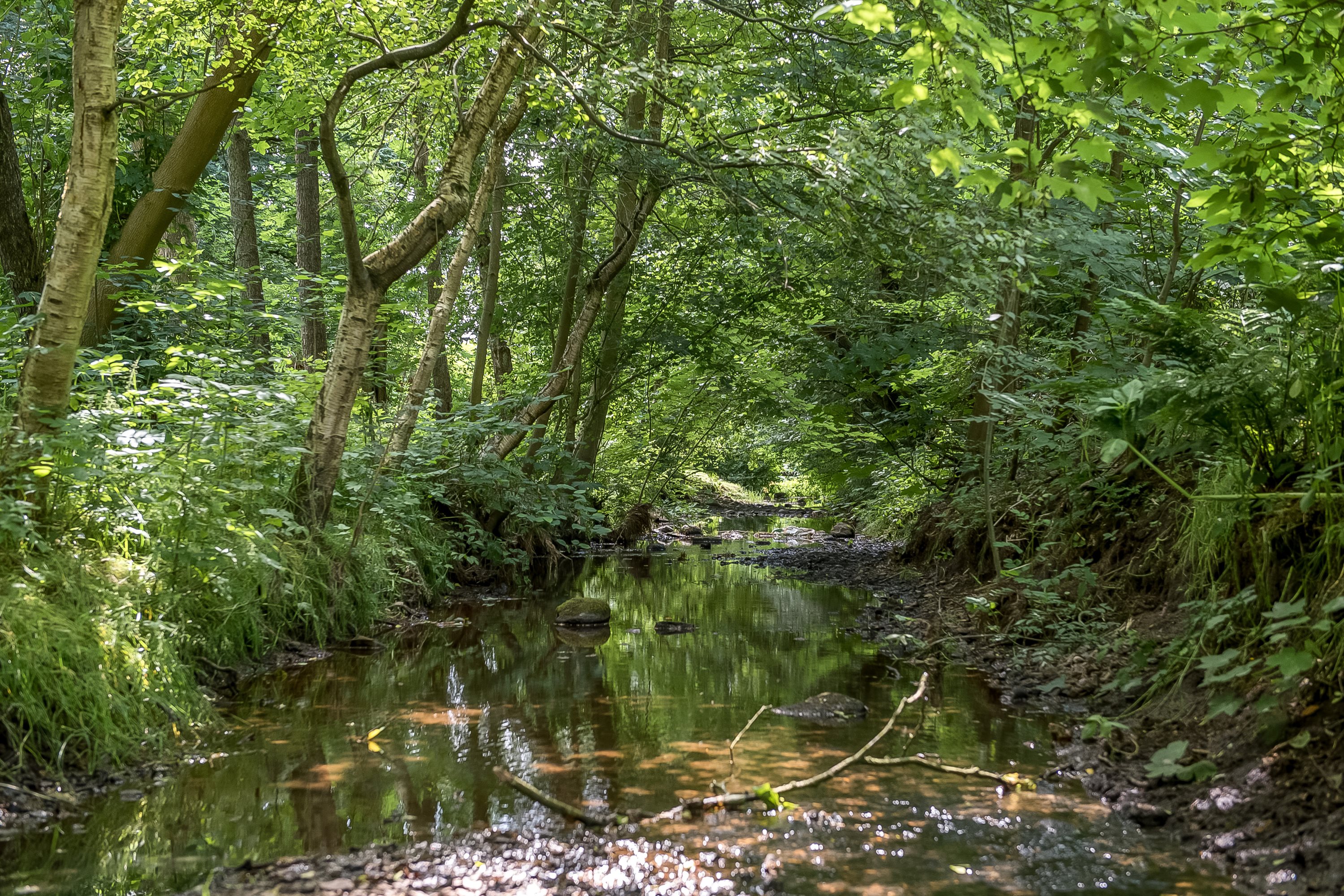 Fremhævet andet billede i fuldskærmstilstand. Billede af Gl. Hornshøjvej 7, 7500 Holstebro