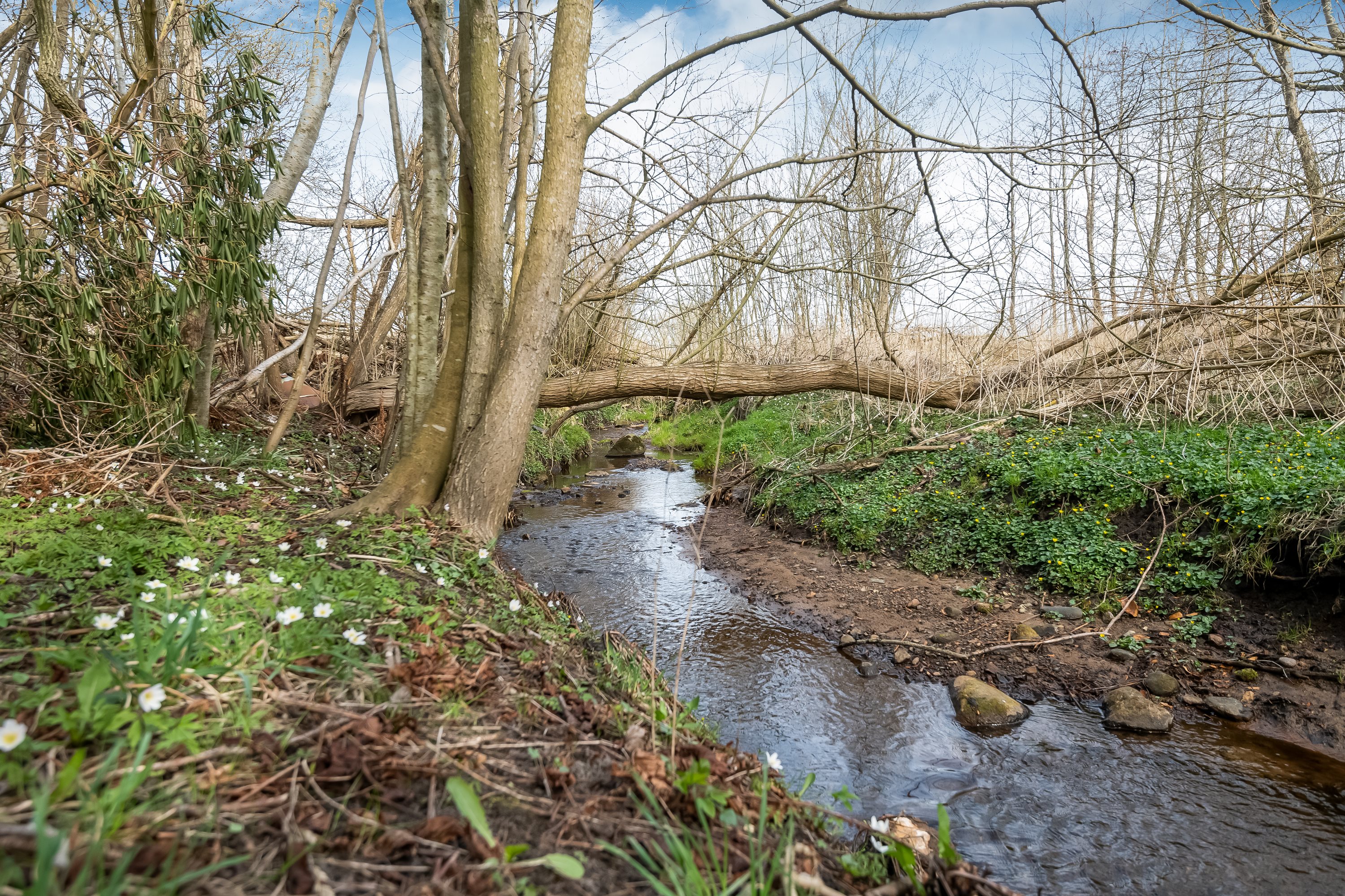 Fremhævet  billede i fuldskærmstilstand. Billede af Møllegade 24, 9750 Østervrå