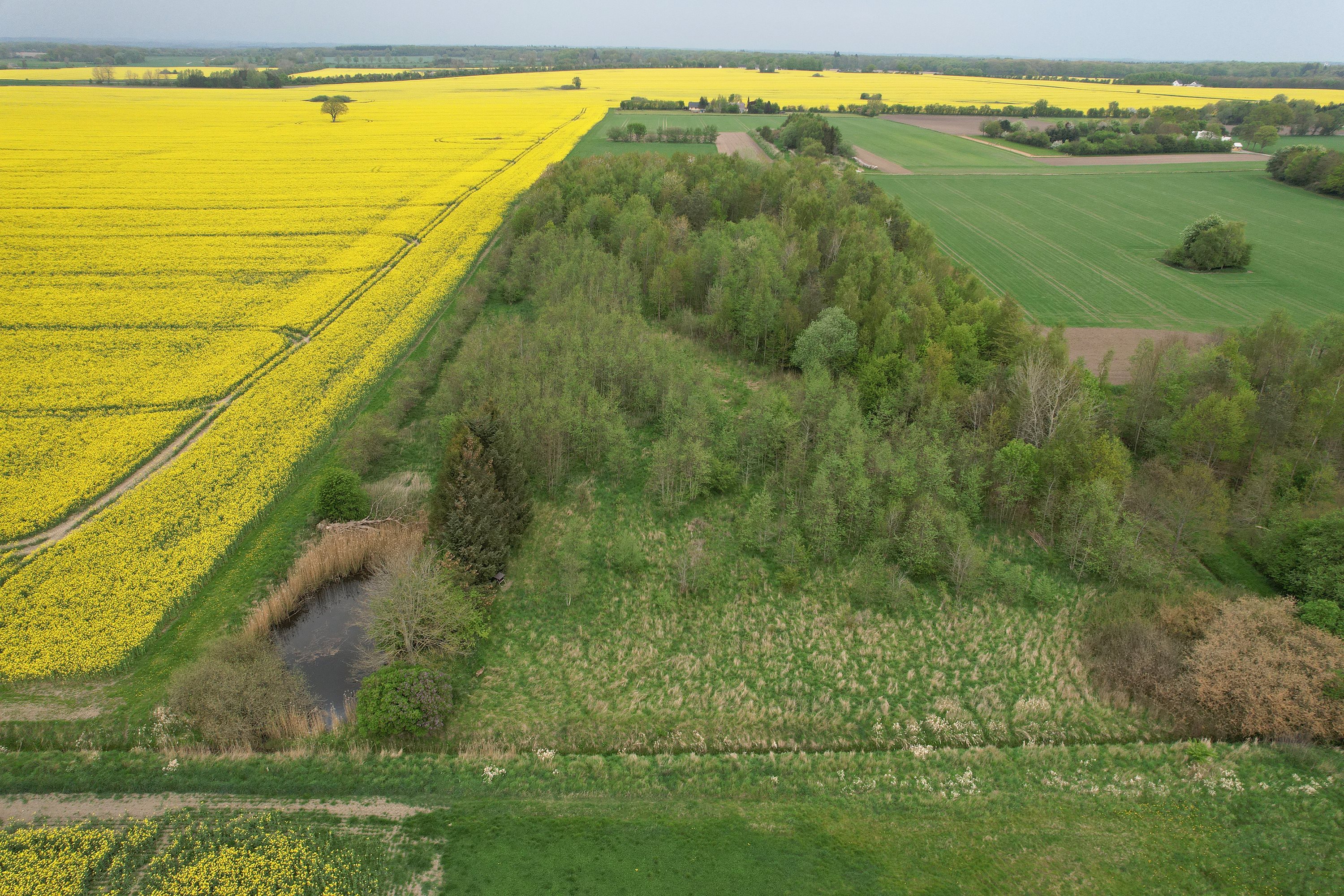 Fremhævet ejendommen billede i fuldskærmstilstand. Billede af Nyhusvej 30, Ørslev, 4100 Ringsted