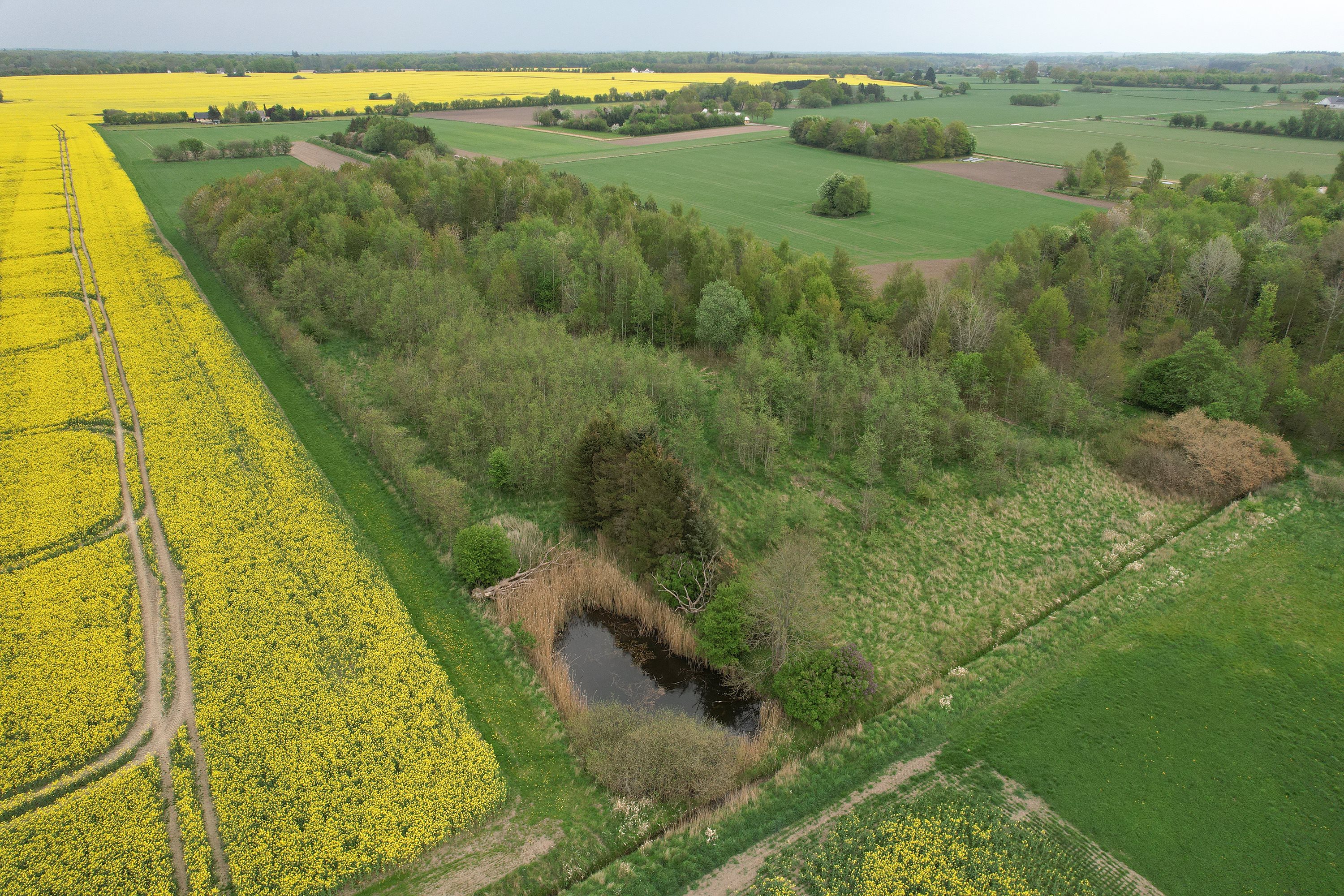 Fremhævet ejendommen billede i fuldskærmstilstand. Billede af Nyhusvej 30, Ørslev, 4100 Ringsted
