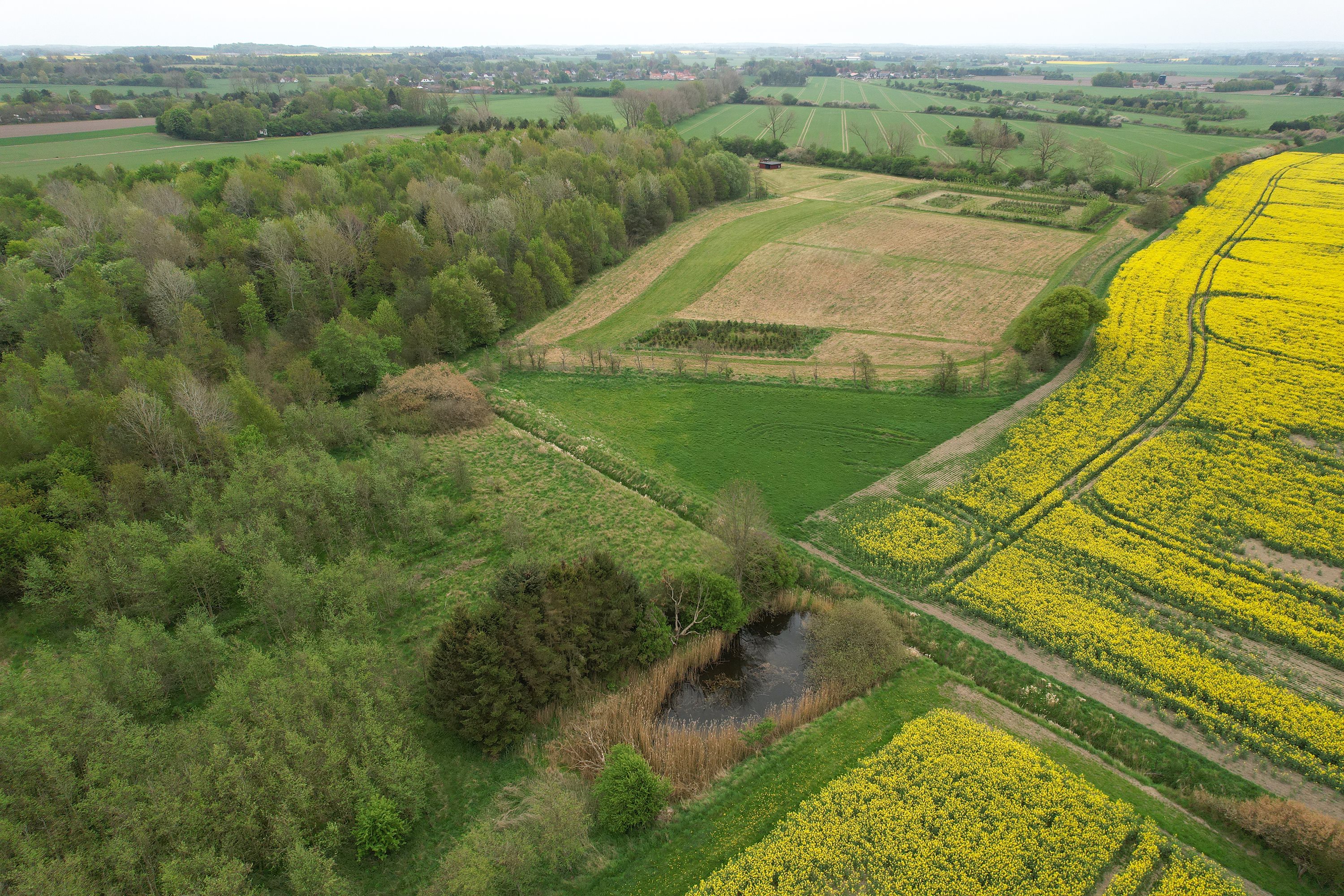 Fremhævet ejendommen billede i fuldskærmstilstand. Billede af Nyhusvej 30, Ørslev, 4100 Ringsted