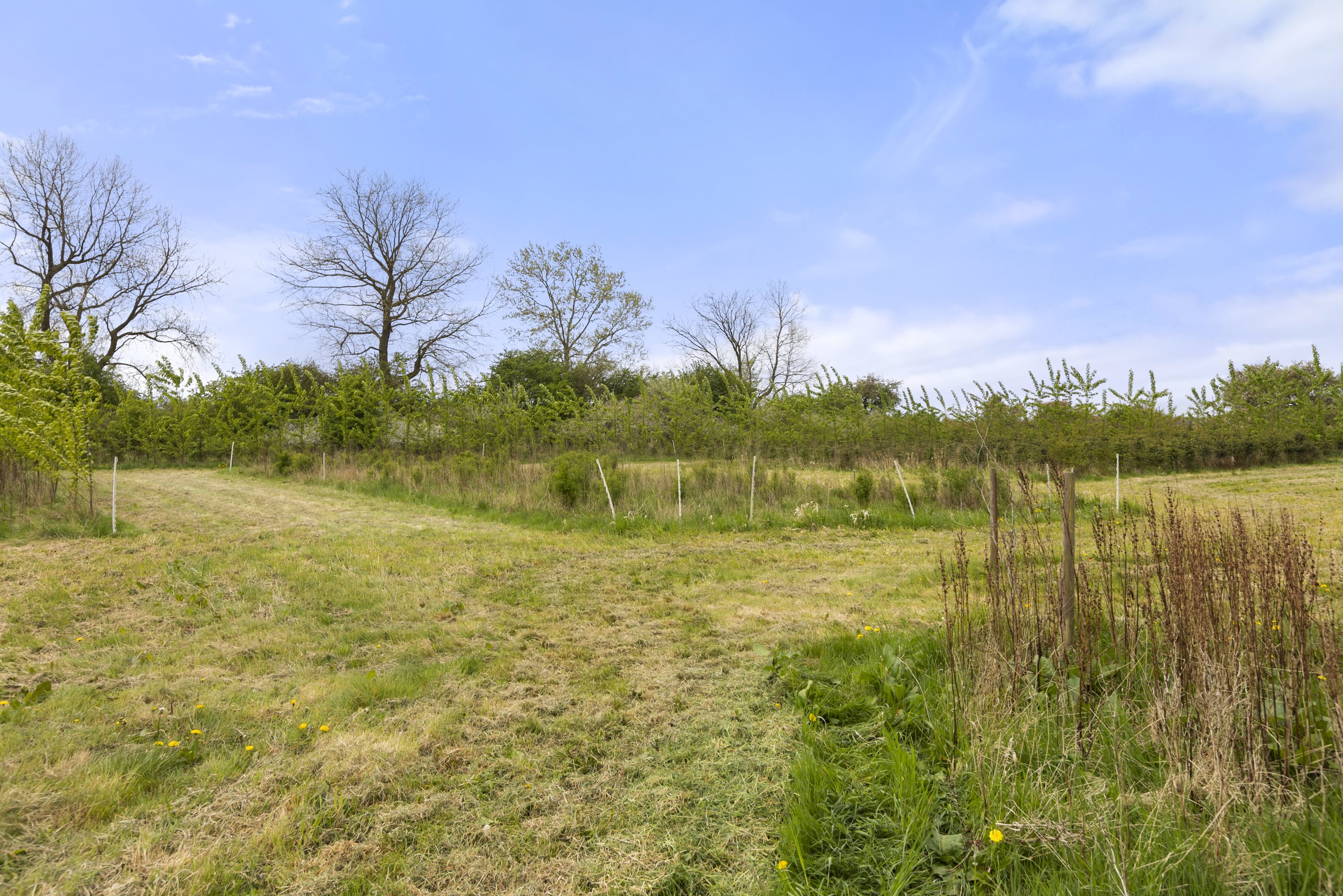 Fremhævet grund billede i fuldskærmstilstand. Billede af Nyhusvej 30, Ørslev, 4100 Ringsted