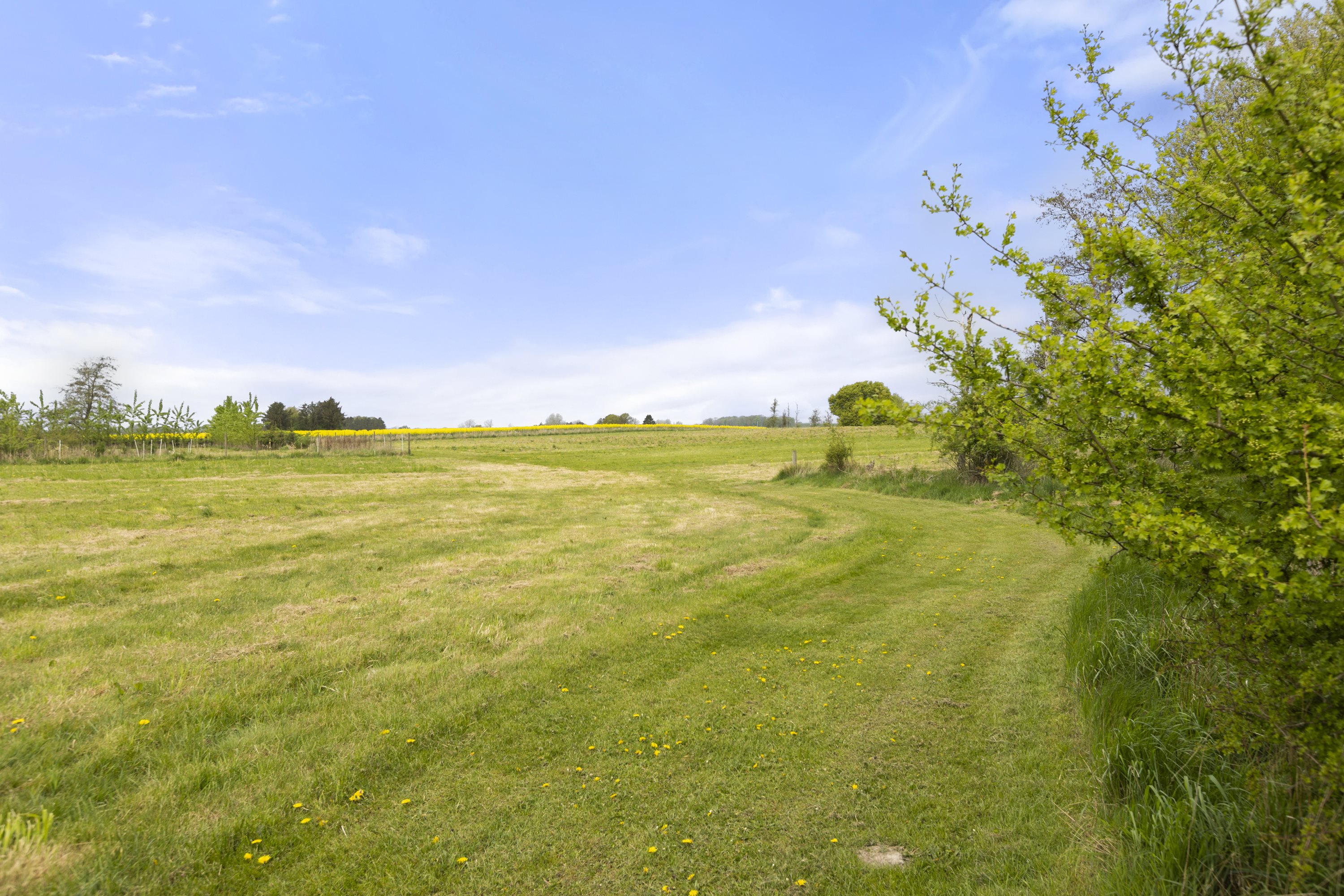 Fremhævet grund billede i fuldskærmstilstand. Billede af Nyhusvej 30, Ørslev, 4100 Ringsted