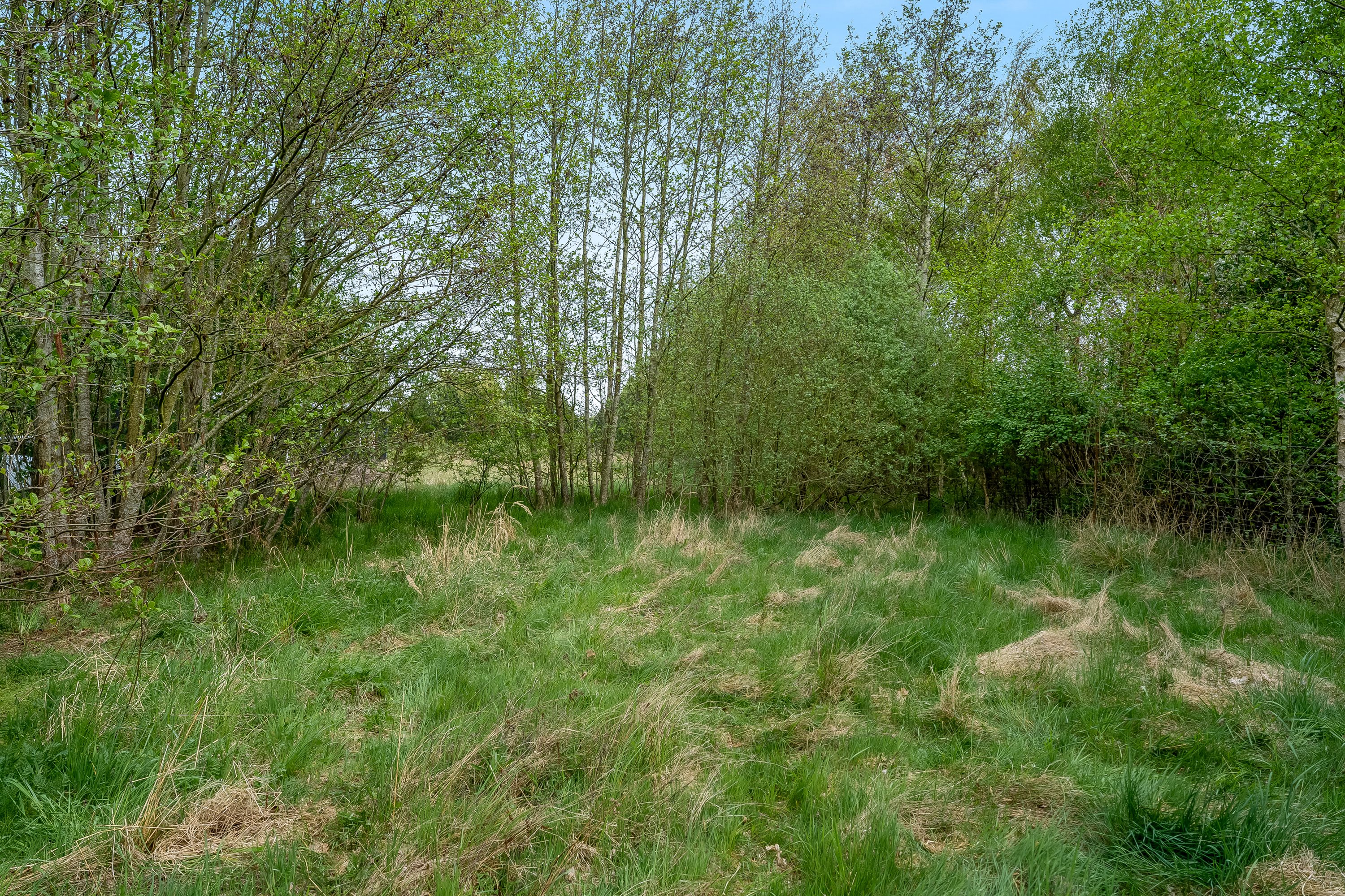 Fremhævet andet billede i fuldskærmstilstand. Billede af Savavej 18, 4873 Væggerløse