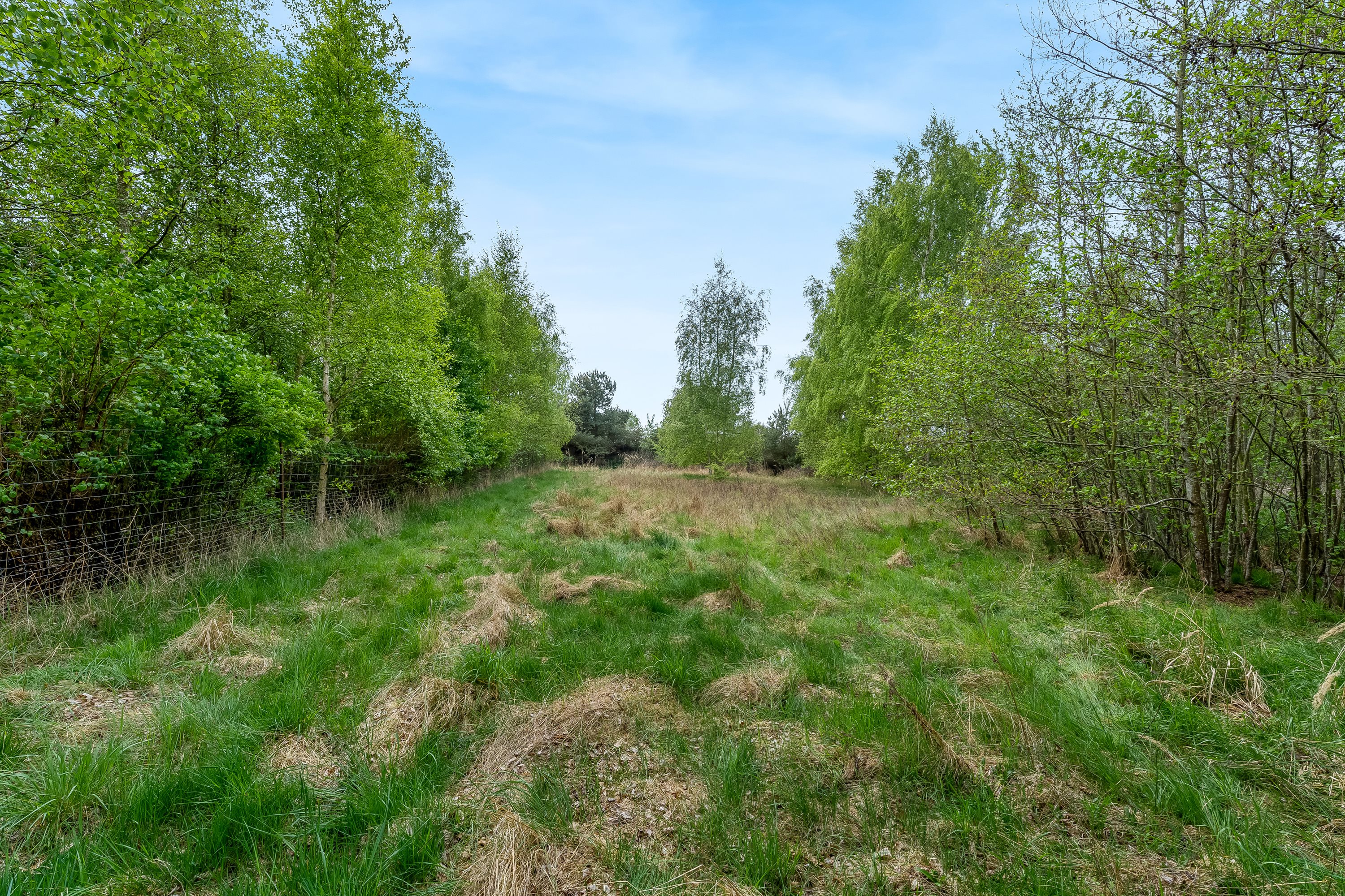 Miniaturebillede 2: andet. Billede af Savavej 18, 4873 Væggerløse