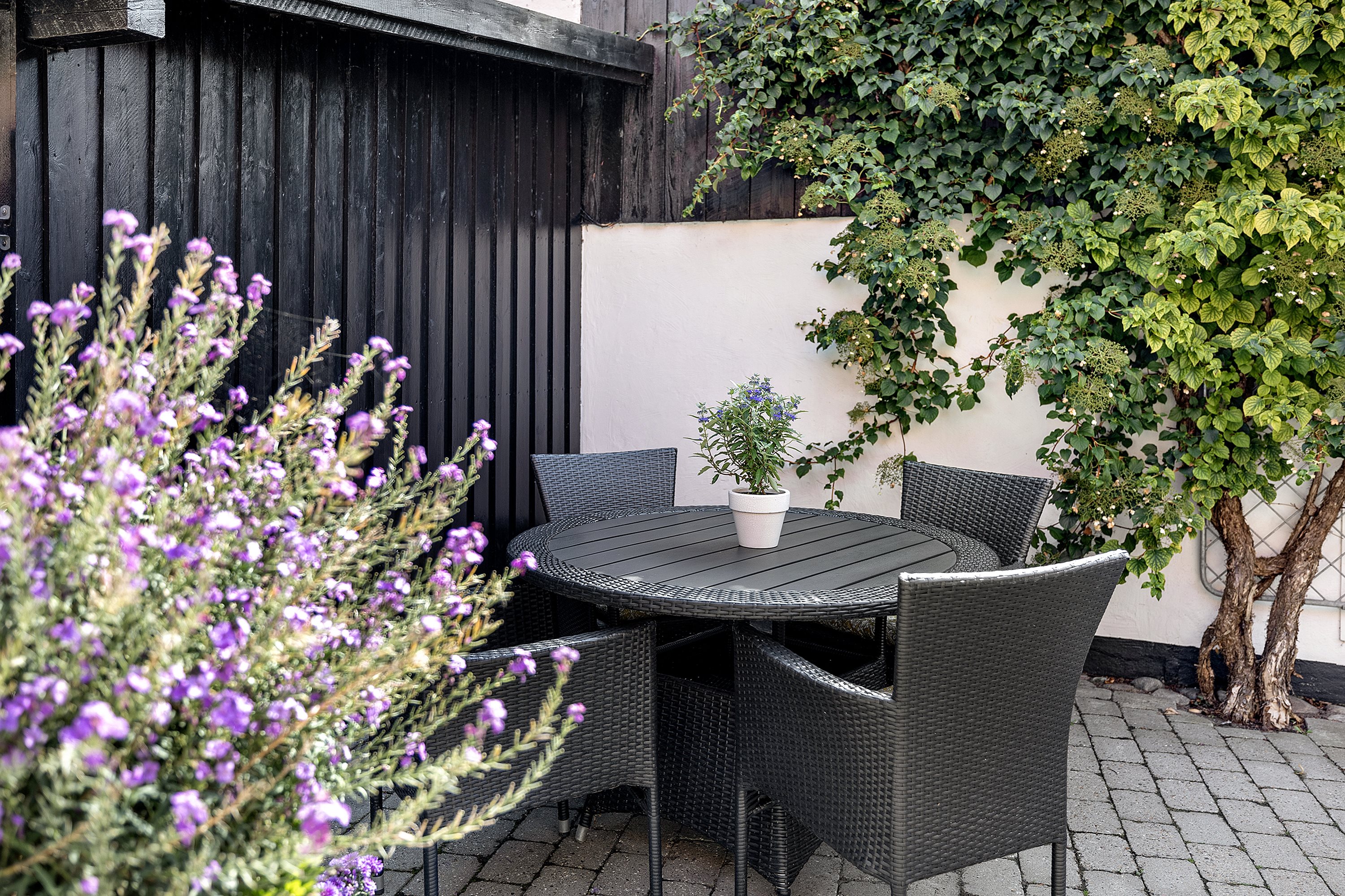 Fremhævet  billede i fuldskærmstilstand. Billede af Præstegade 3, 5300 Kerteminde