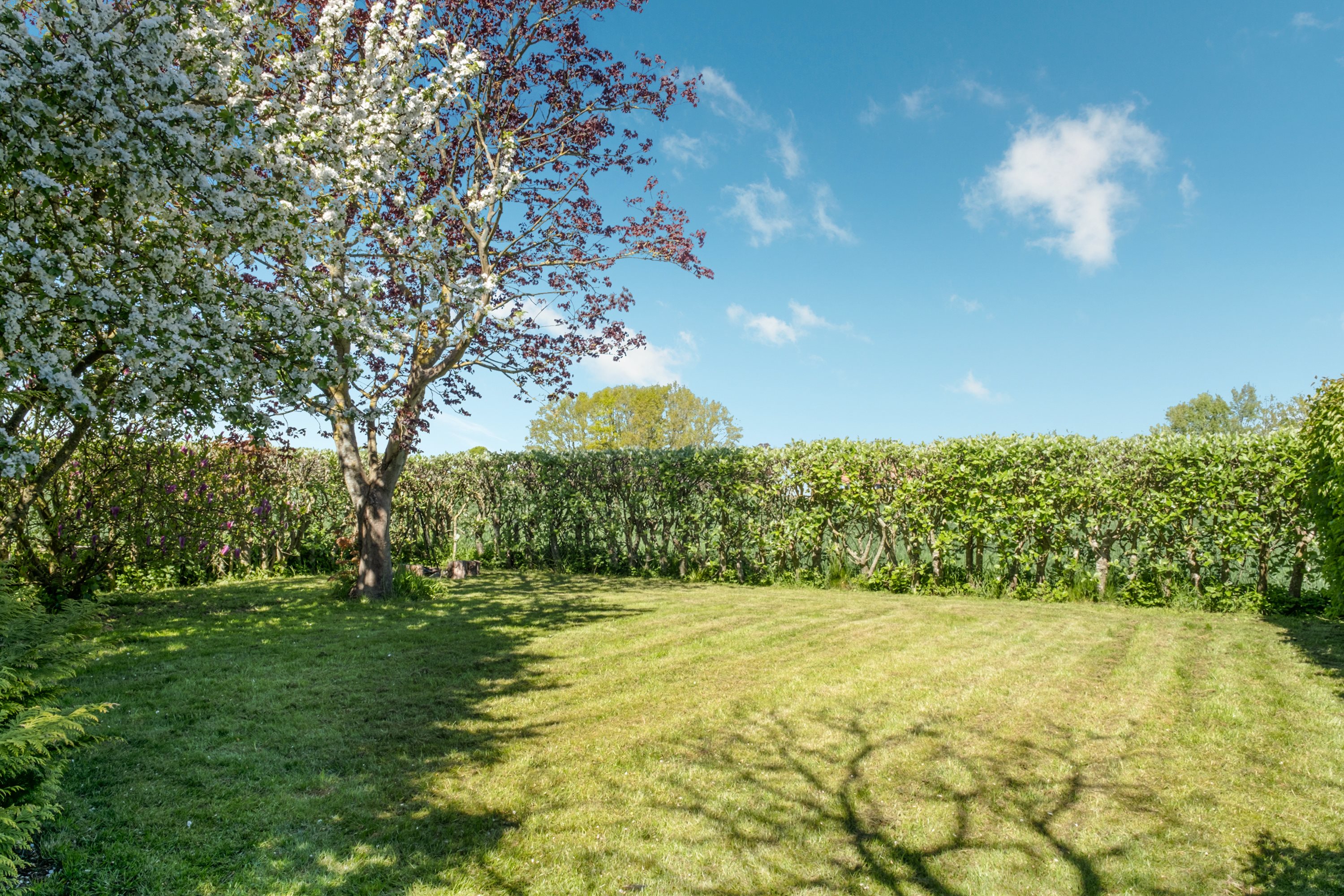 Fremhævet have billede i fuldskærmstilstand. Billede af Sentvedvej 24, Sentved, 5853 Ørbæk