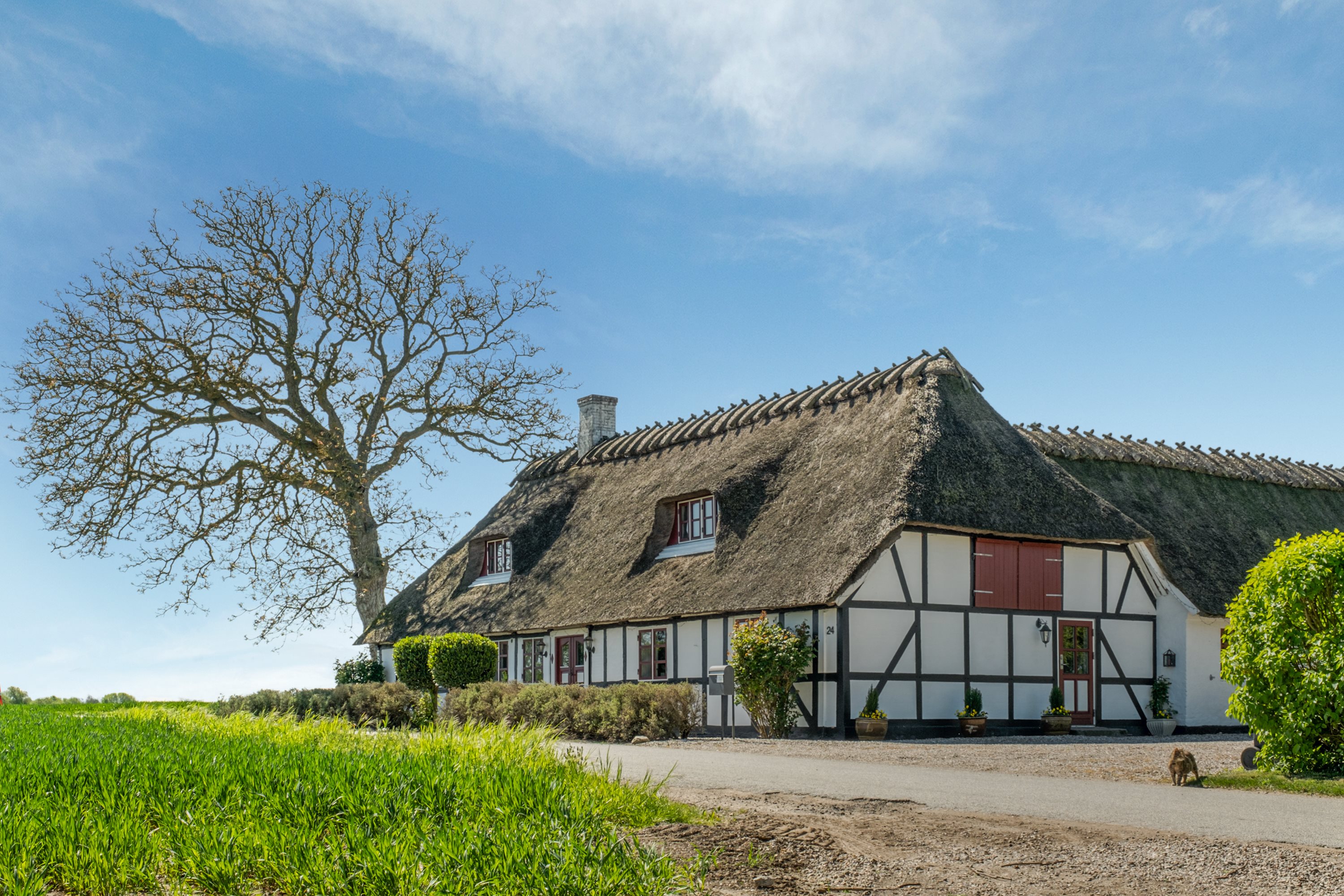 Miniaturebillede 2: facade. Billede af Sentvedvej 24, Sentved, 5853 Ørbæk