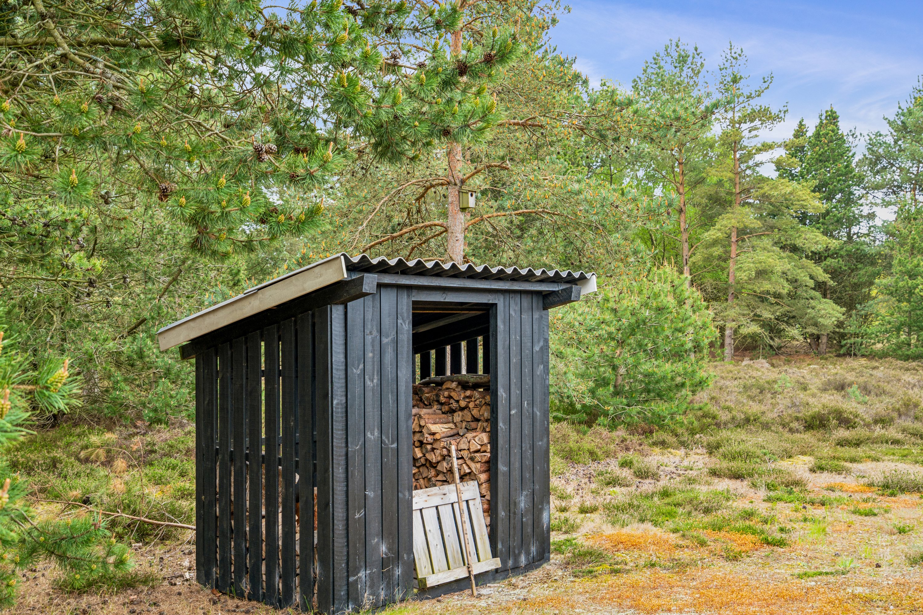Fremhævet have billede i fuldskærmstilstand. Billede af Sandskægvej 4, Vesterø, 9940 Læsø