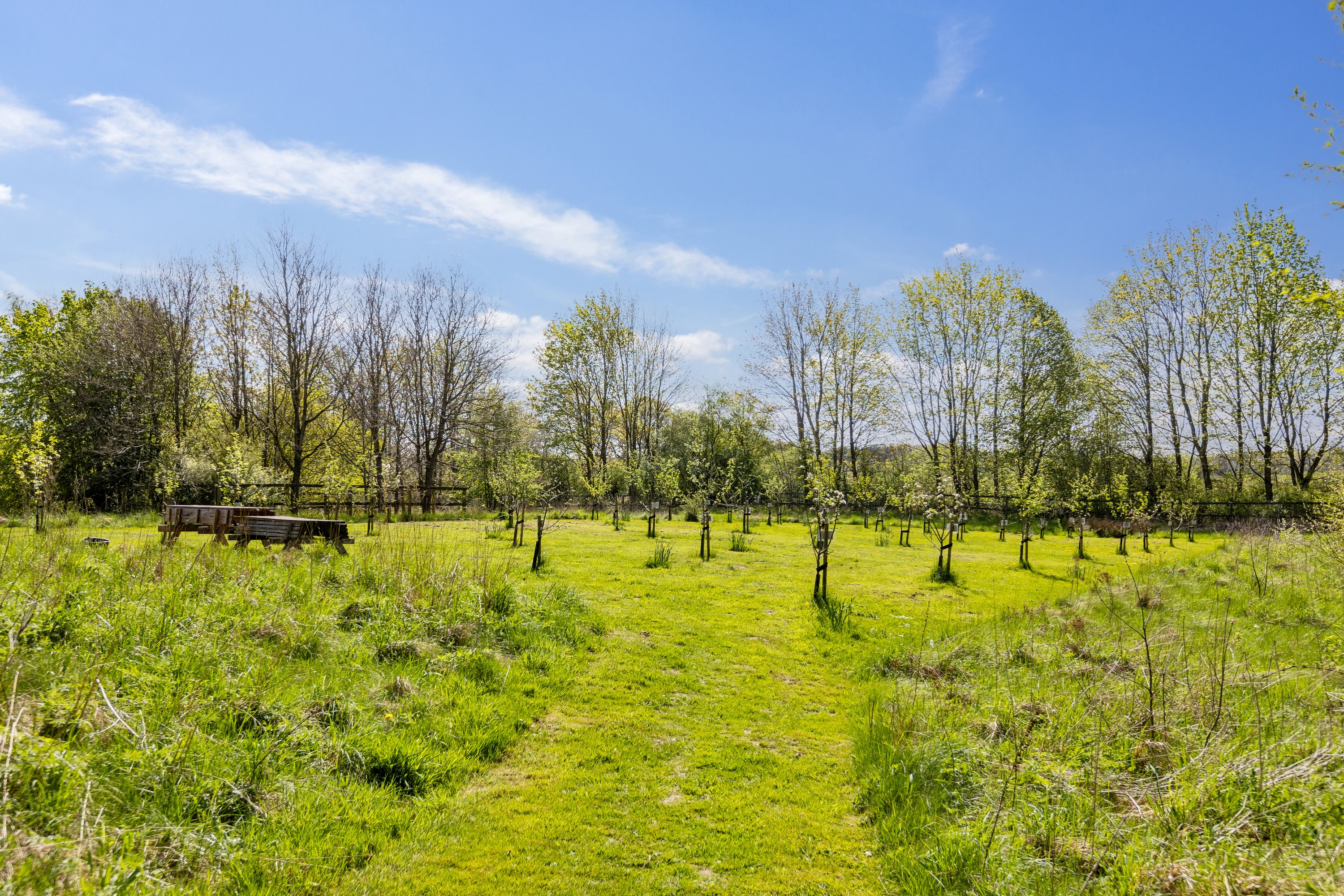 Fremhævet grund billede i fuldskærmstilstand. Billede af Bredbjergvej 72, Bredbjerg, 5462 Morud