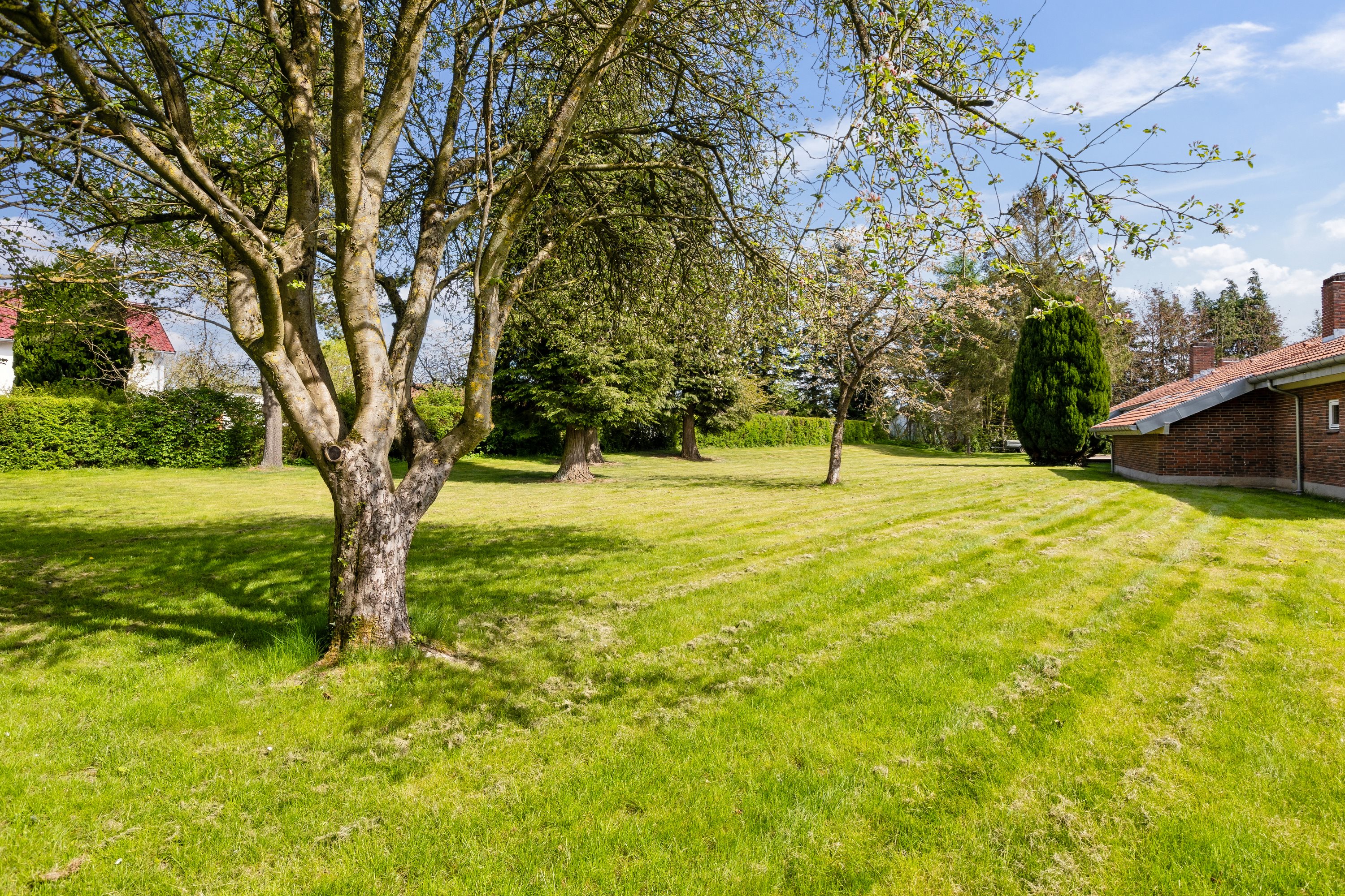 Fremhævet have billede i fuldskærmstilstand. Billede af Bredbjergvej 72, Bredbjerg, 5462 Morud