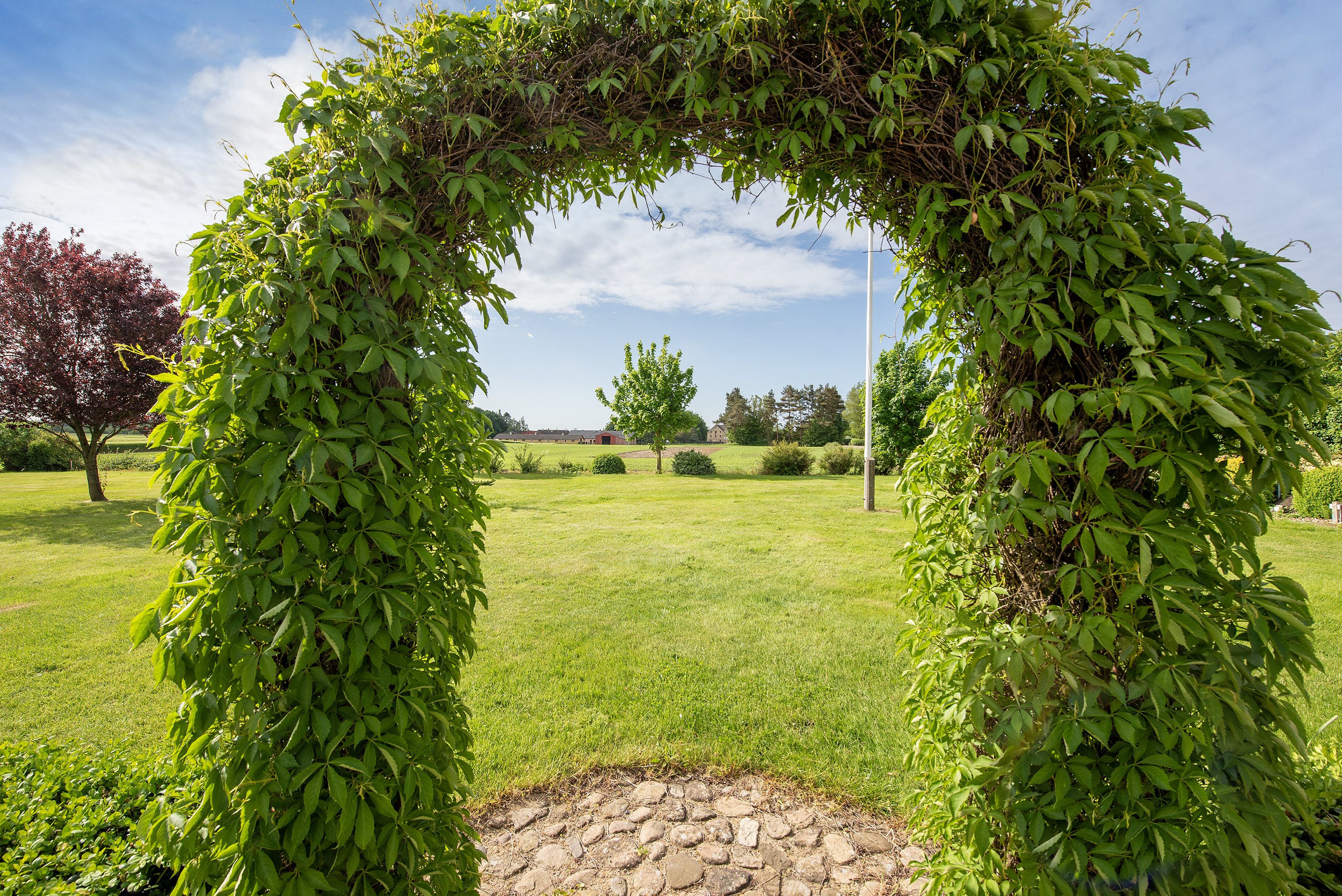 Fremhævet  billede i fuldskærmstilstand. Billede af Udridervej, Asperup Mark 11, Asperup Mark, 5580 Nørre Aaby