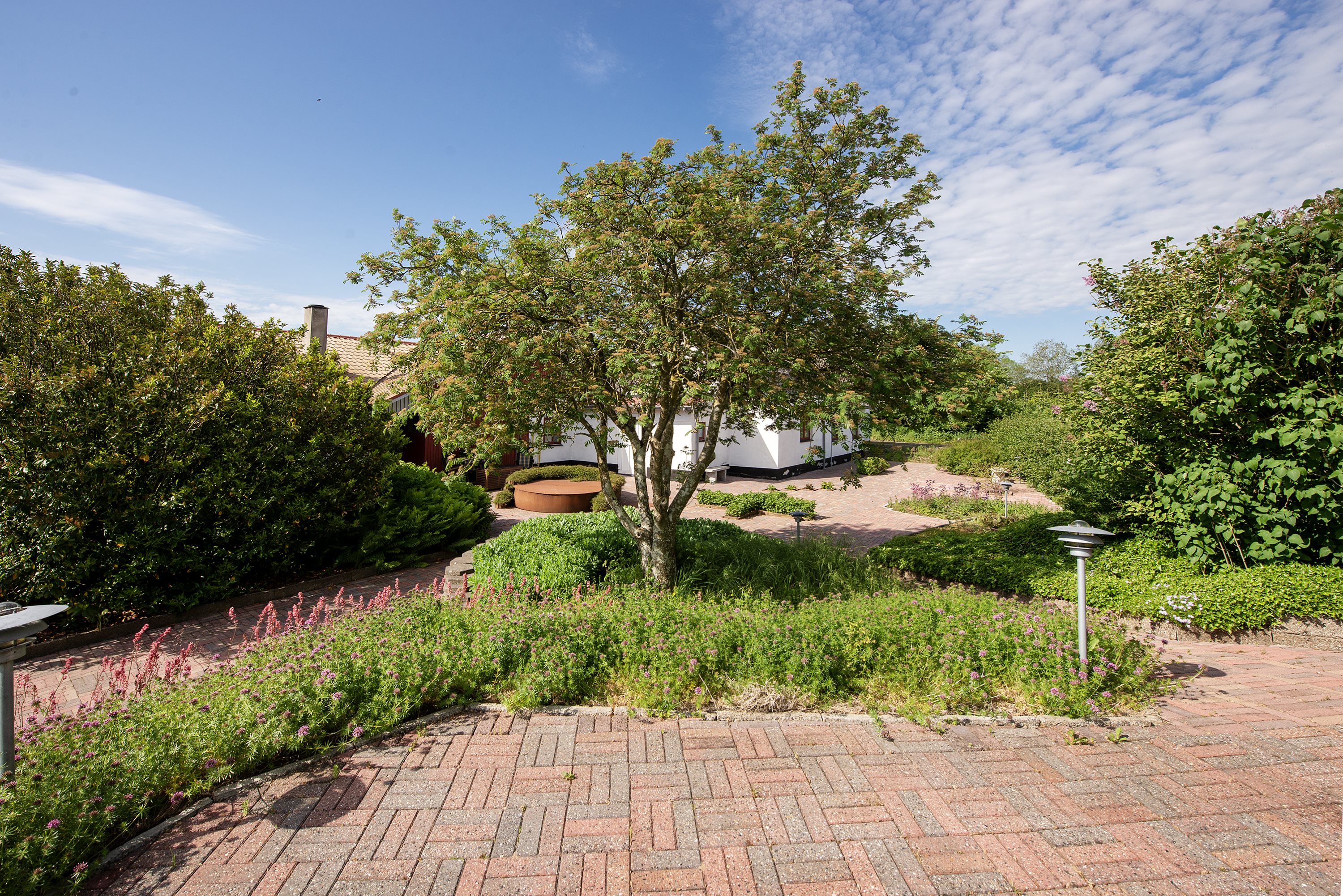 Fremhævet  billede i fuldskærmstilstand. Billede af Udridervej, Asperup Mark 11, Asperup Mark, 5580 Nørre Aaby