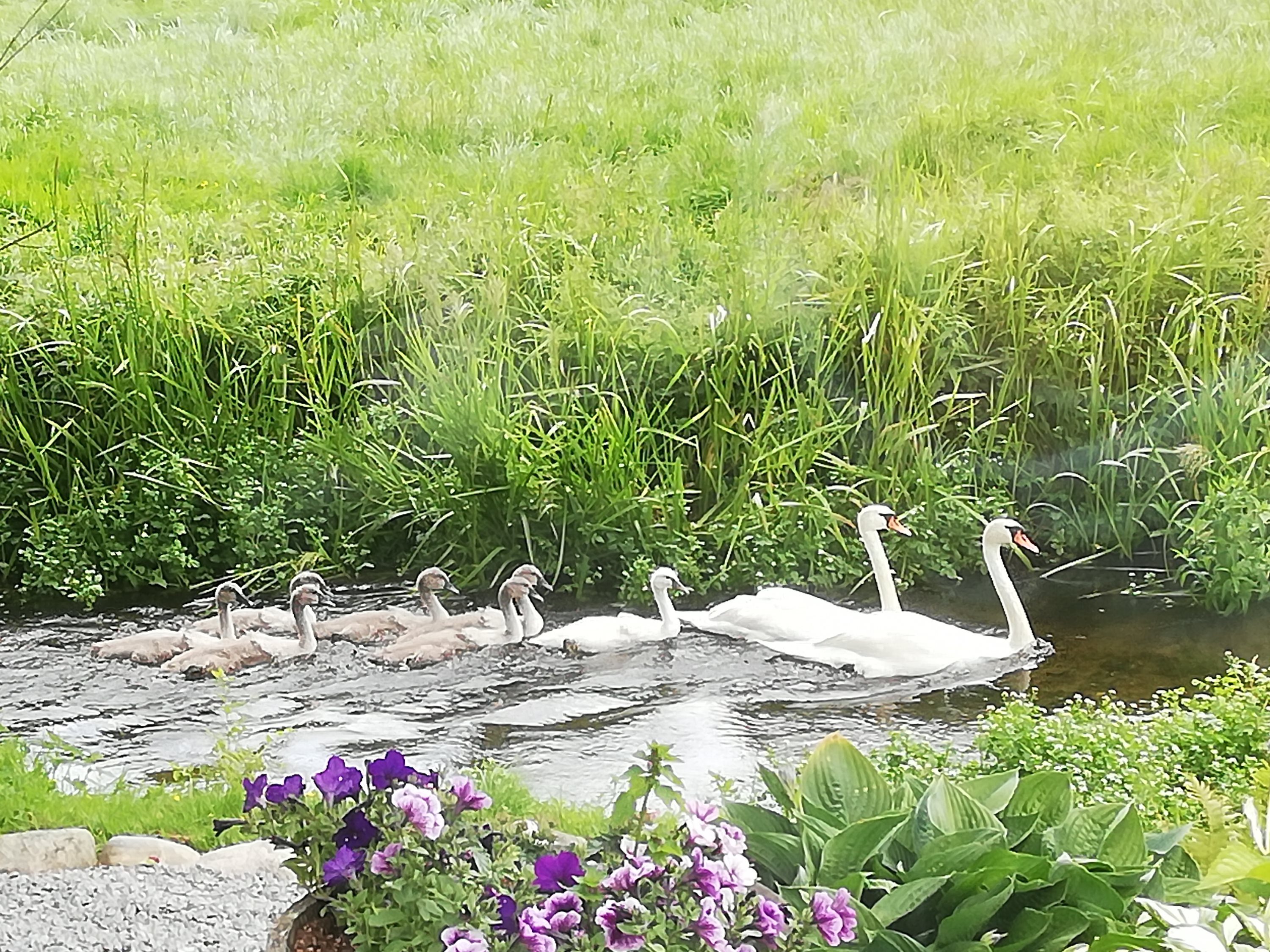 Fremhævet  billede i fuldskærmstilstand. Billede af Haugårdvej 5A, Naundrup, 9632 Møldrup