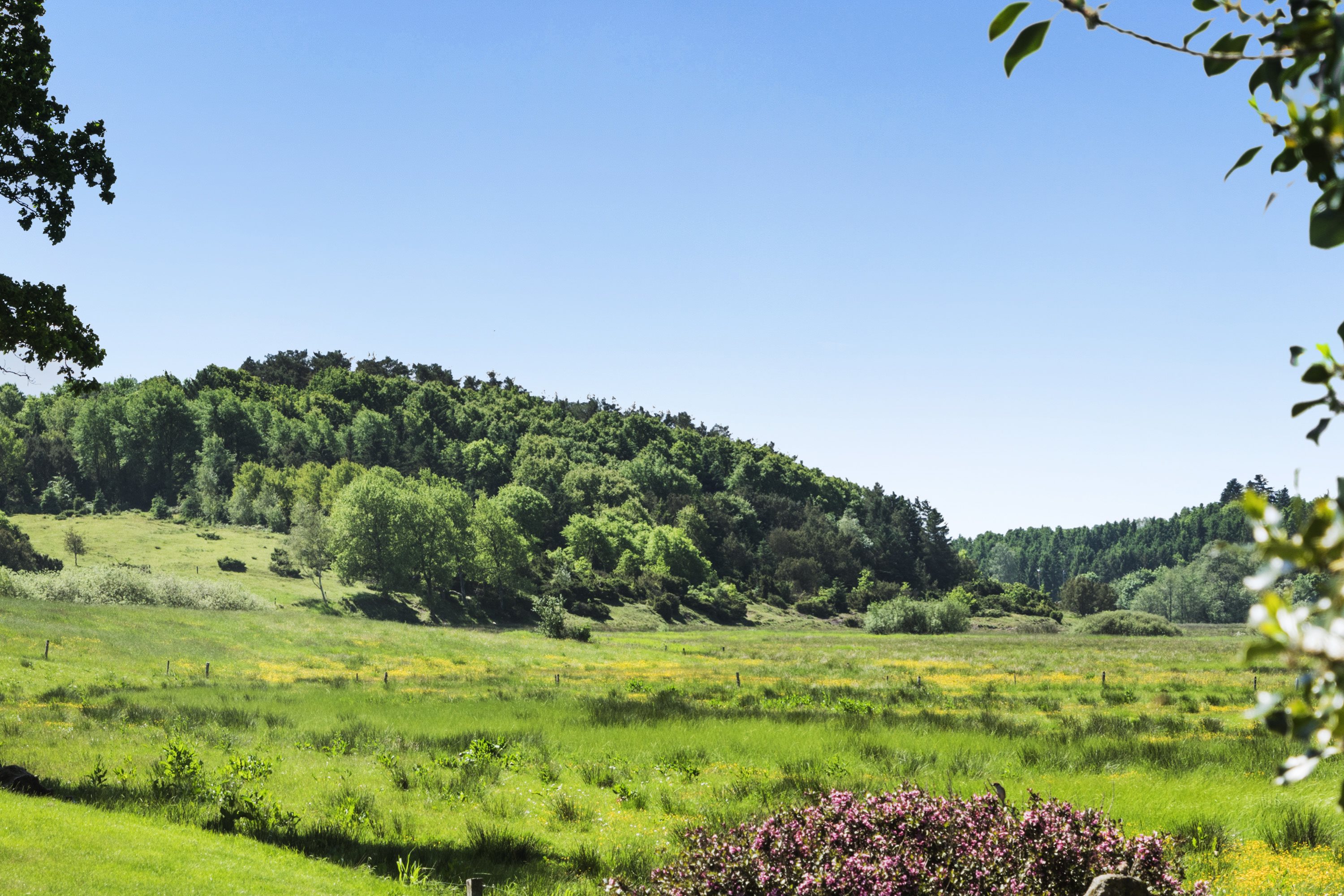 Fremhævet  billede i fuldskærmstilstand. Billede af Haugårdvej 5A, Naundrup, 9632 Møldrup