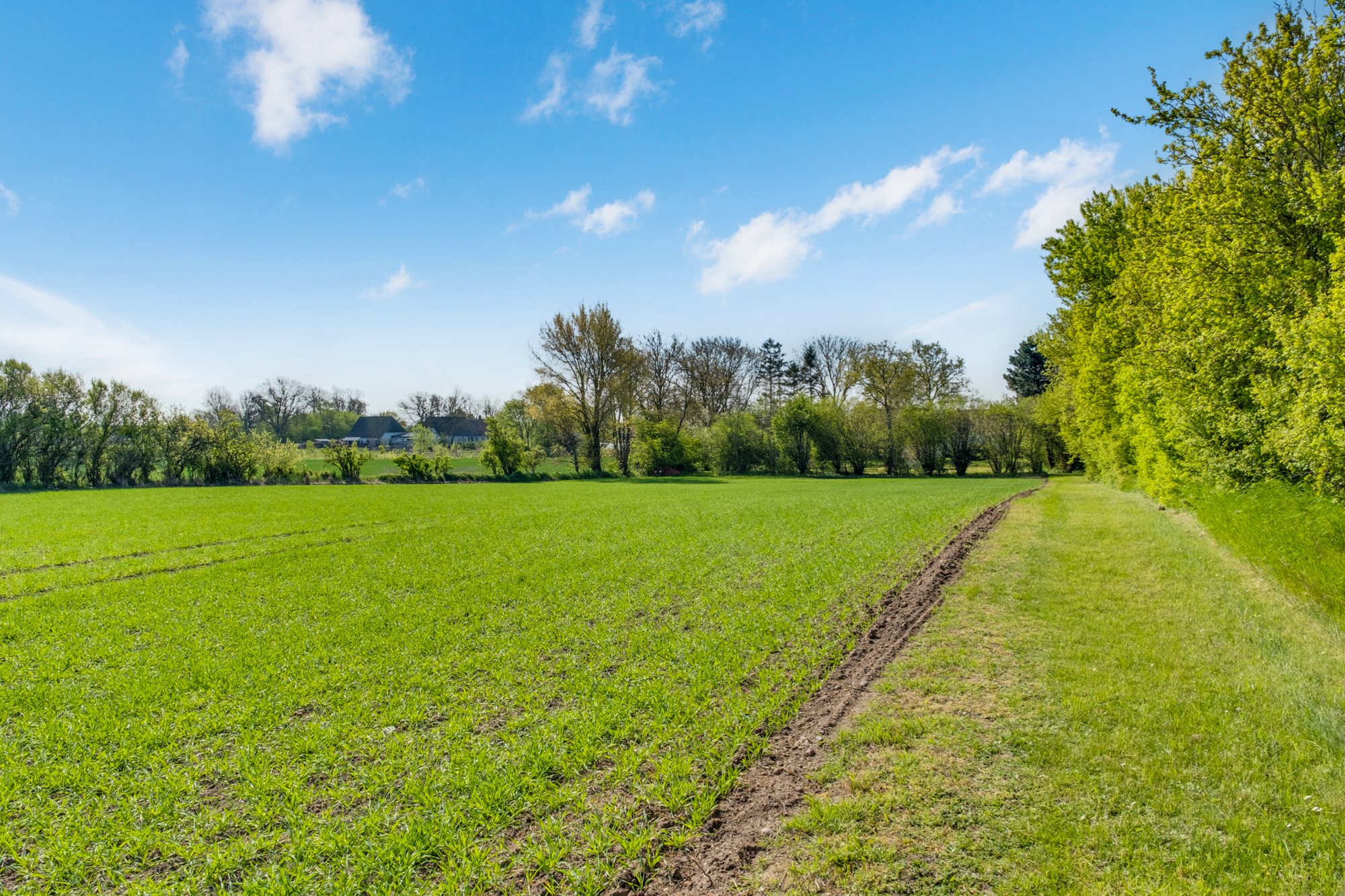 Fremhævet grund billede i fuldskærmstilstand. Billede af Oldegade 16, 5970 Ærøskøbing