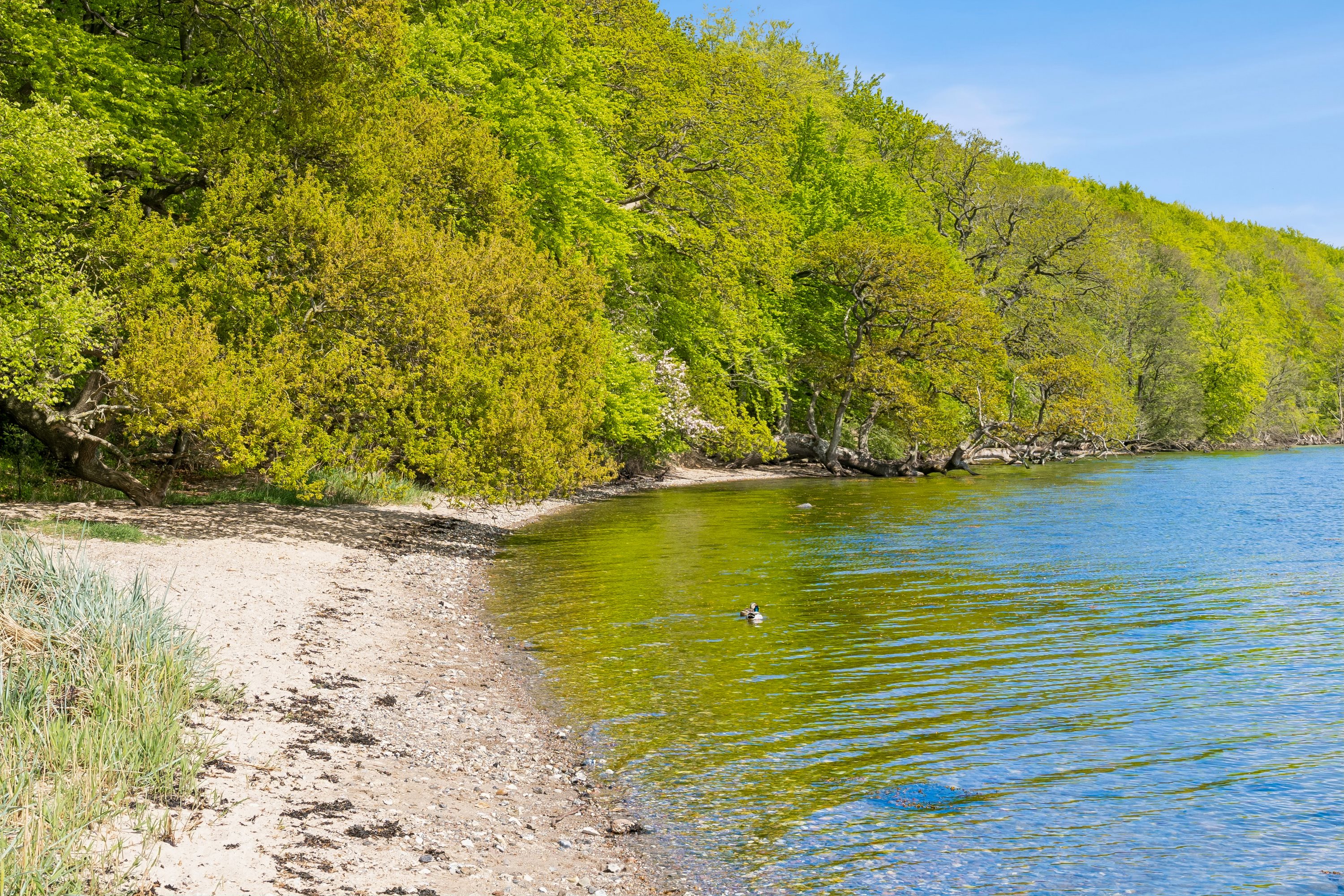 Fremhævet omgivelser billede i fuldskærmstilstand. Billede af Elbækskovvej 22, Stensballe, 8700 Horsens
