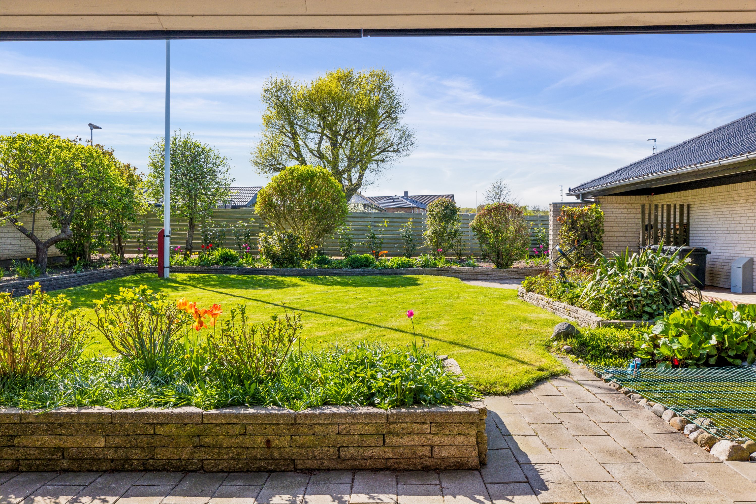 Fremhævet hane billede i fuldskærmstilstand. Billede af Brinken 27, 6300 Gråsten