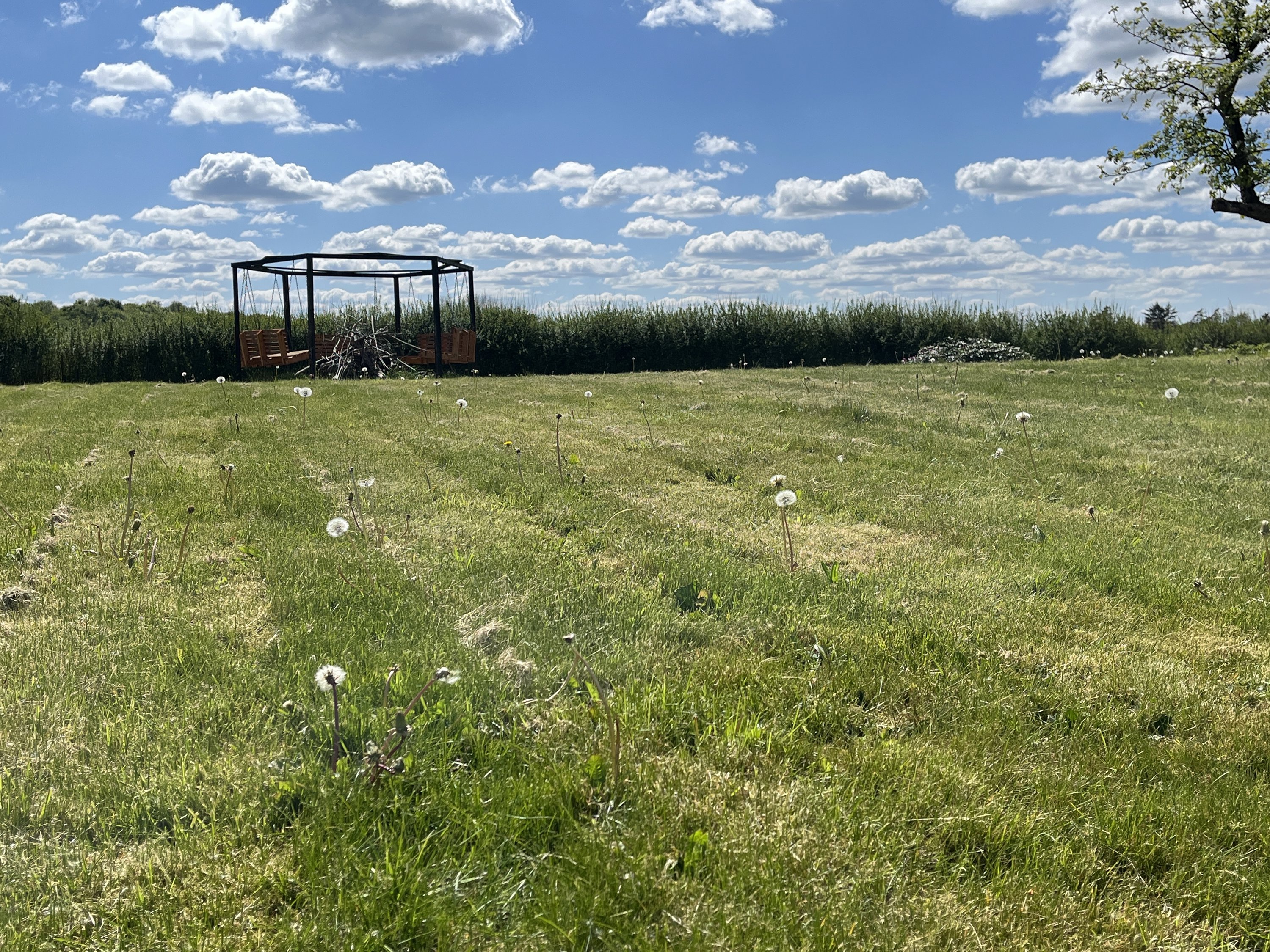 Fremhævet  billede i fuldskærmstilstand. Billede af Bækkegårdsvej 9, Sparkær, 8800 Viborg