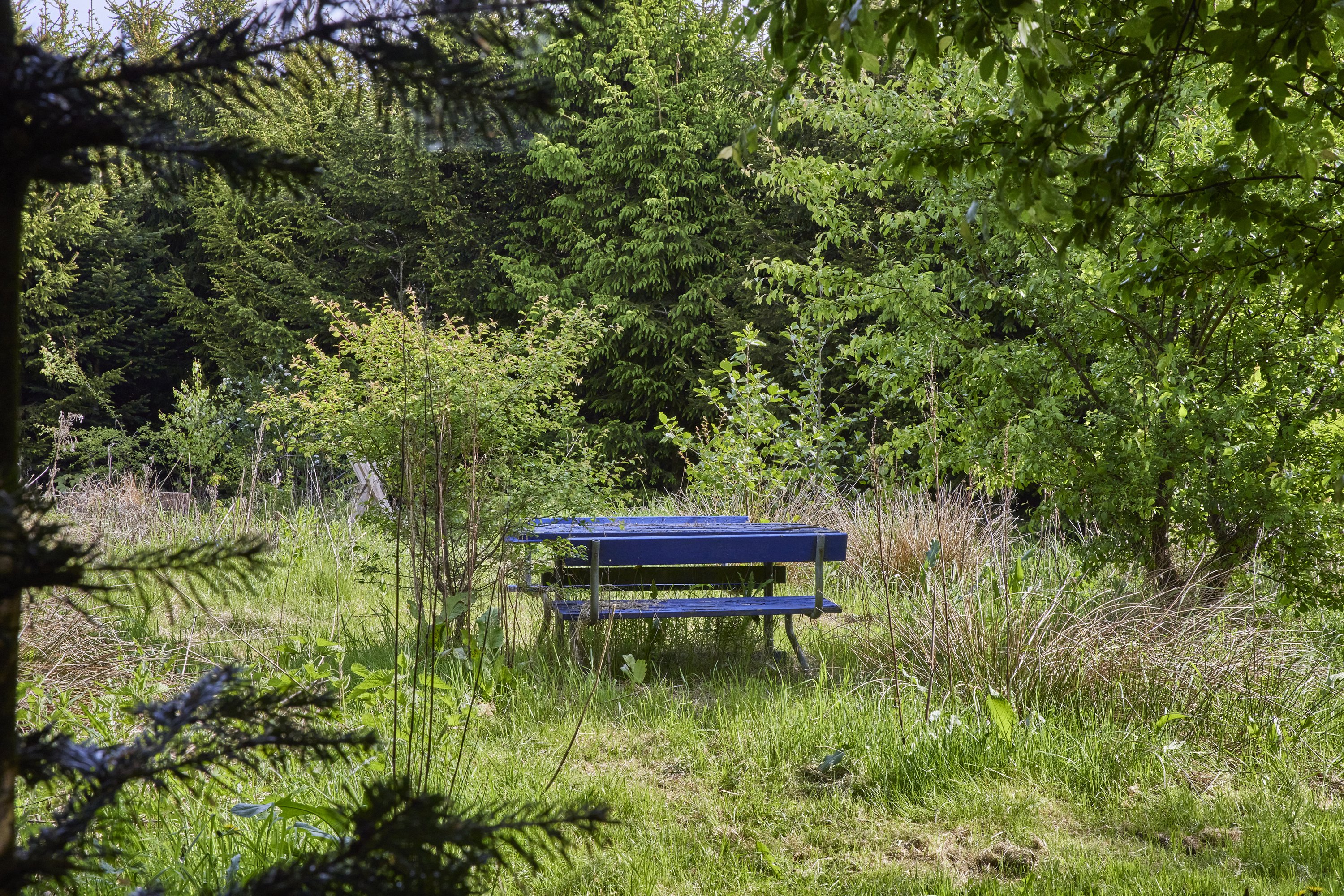 Fremhævet have billede i fuldskærmstilstand. Billede af Fårupvej 26, 8840 Rødkærsbro